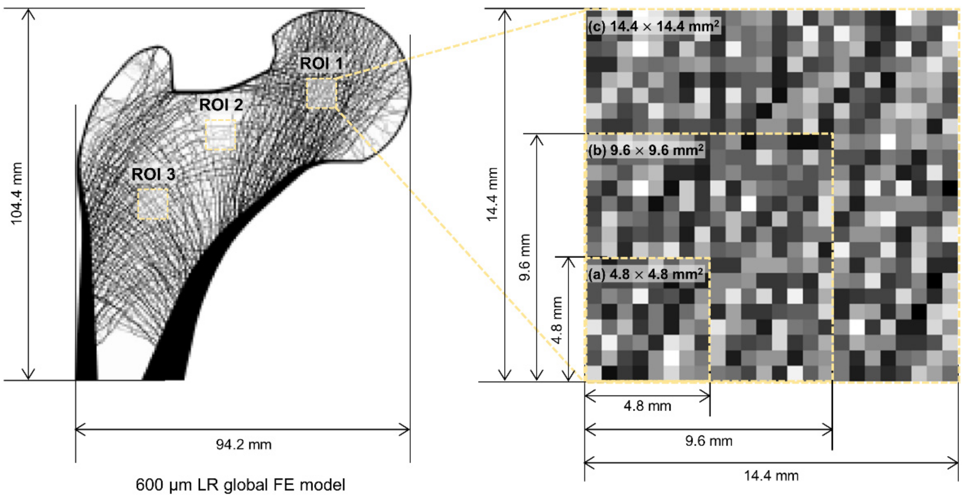 Bioengineering 09 00644 g002