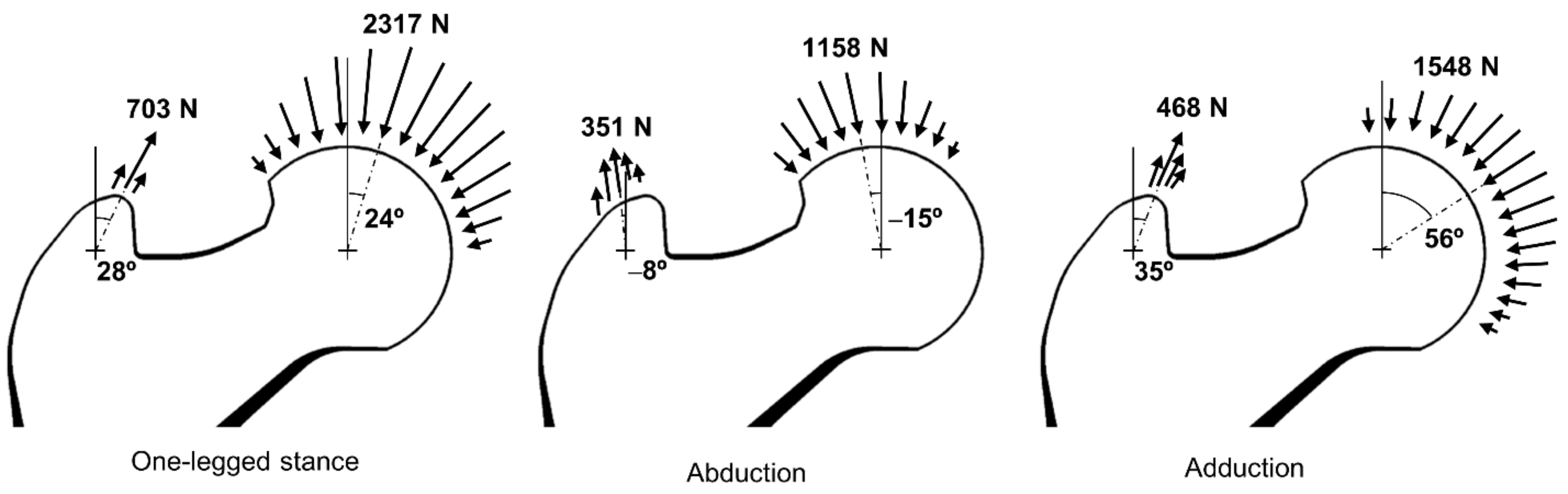 Bioengineering 09 00644 g003