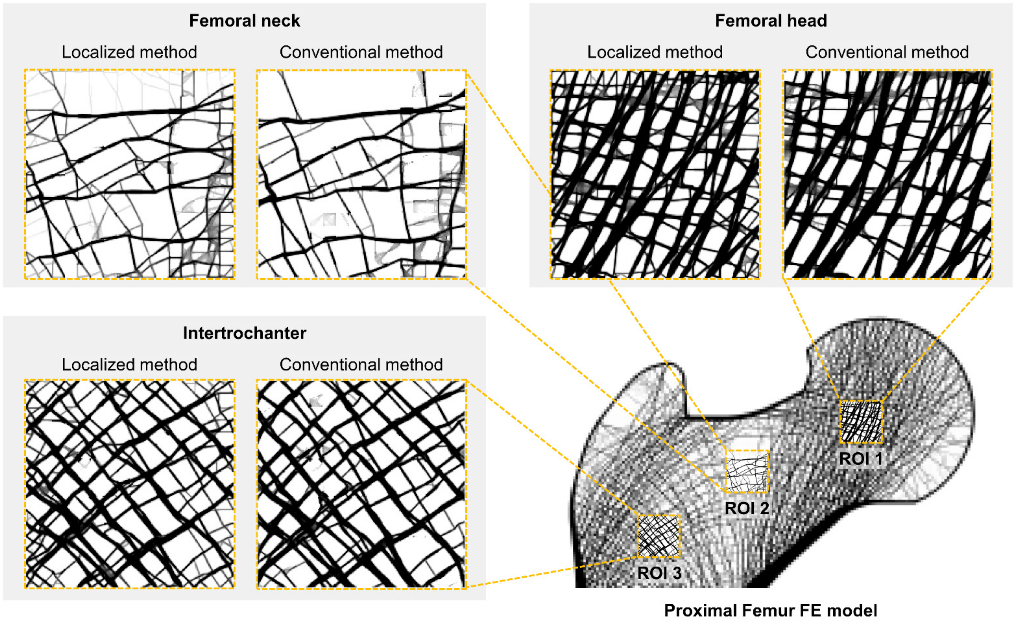 Bioengineering 09 00644 g005
