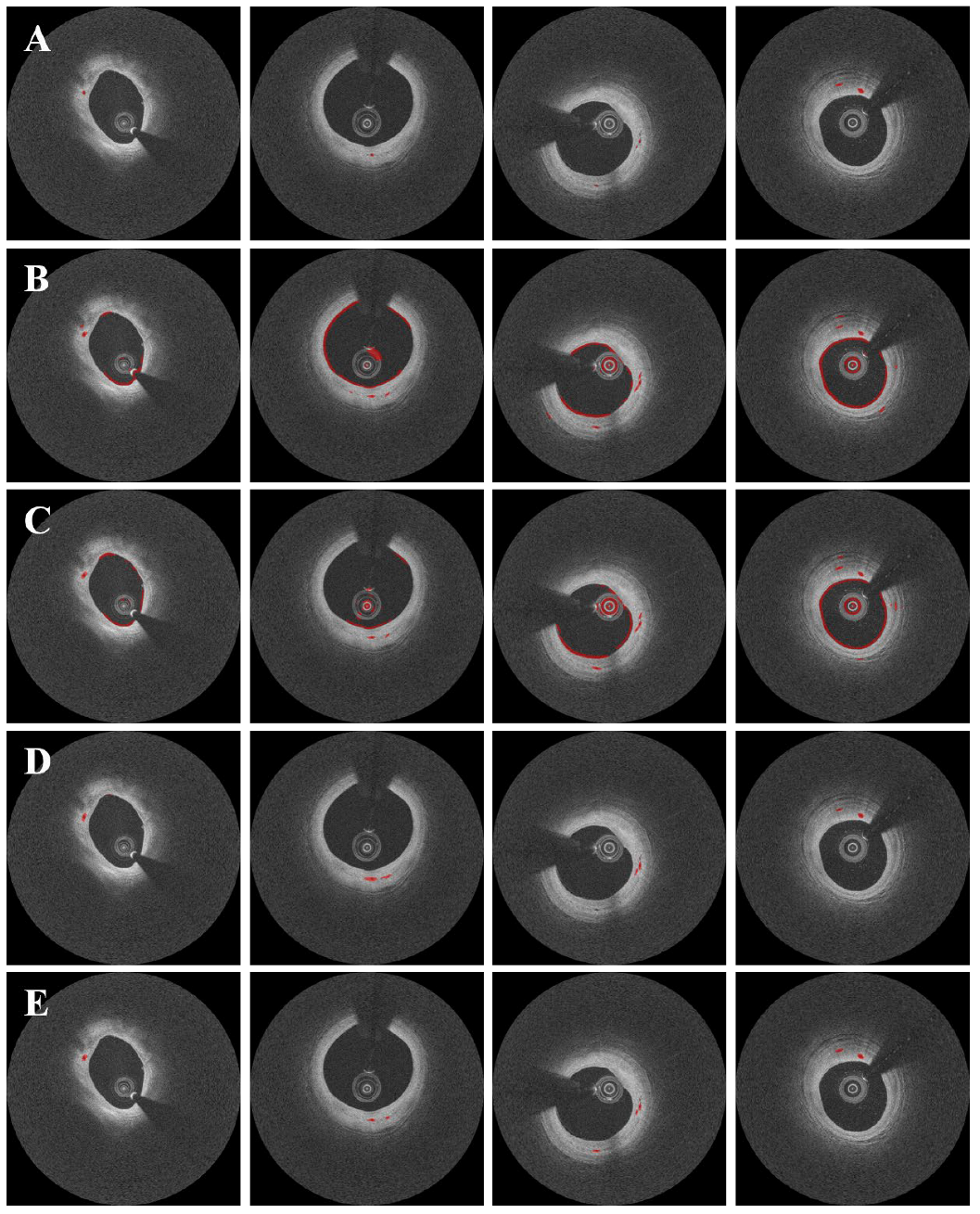 Bioengineering 09 00648 g005