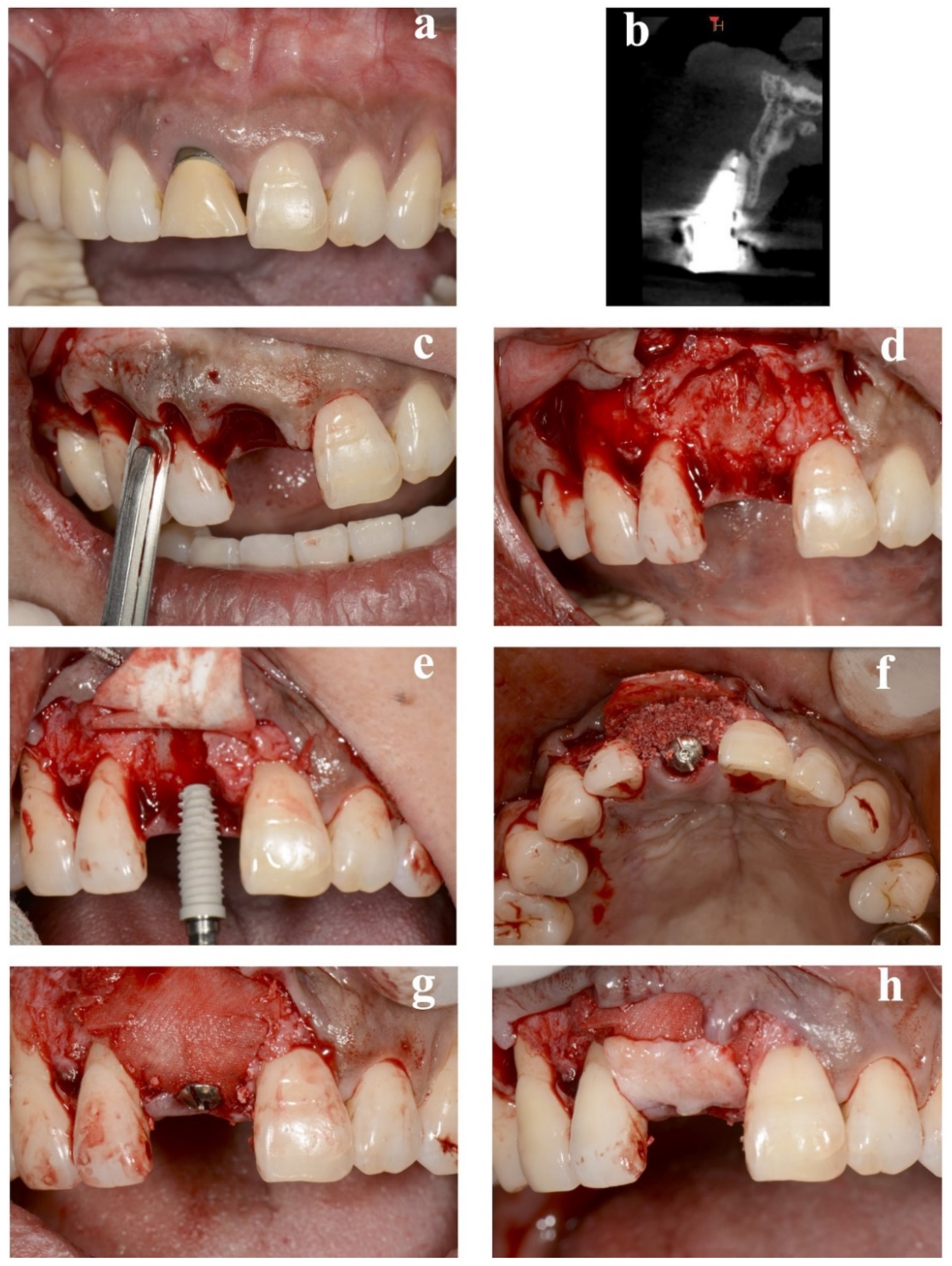 Bioengineering 09 00649 g002