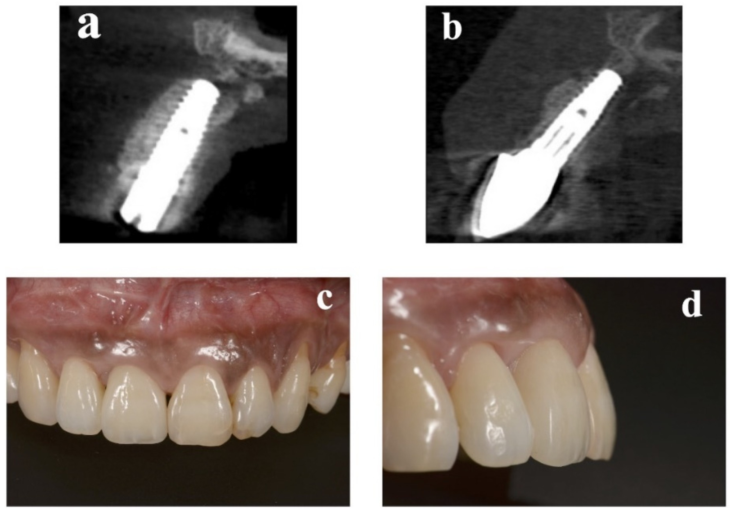 Bioengineering 09 00649 g004