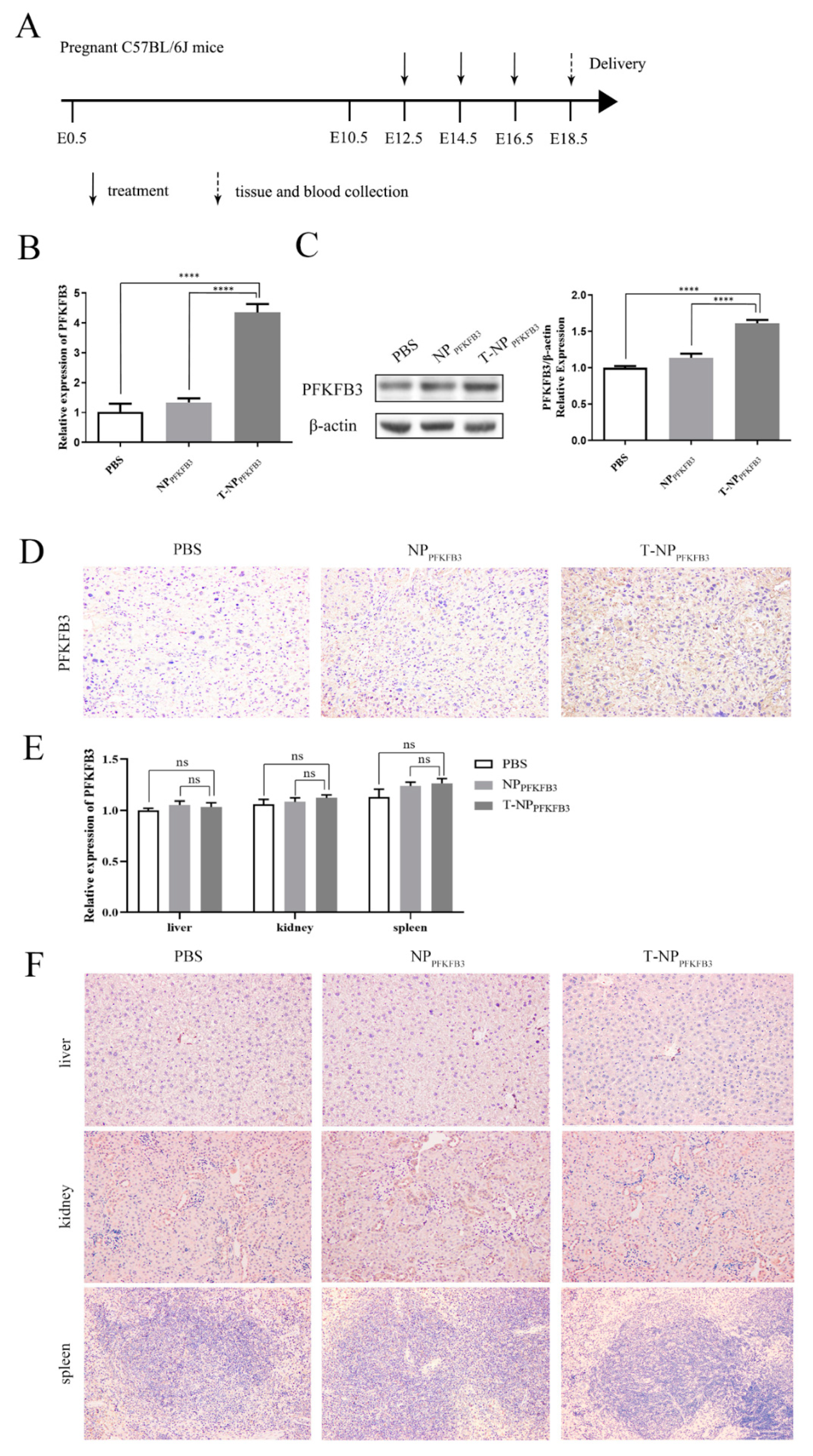 Bioengineering 09 00652 g002