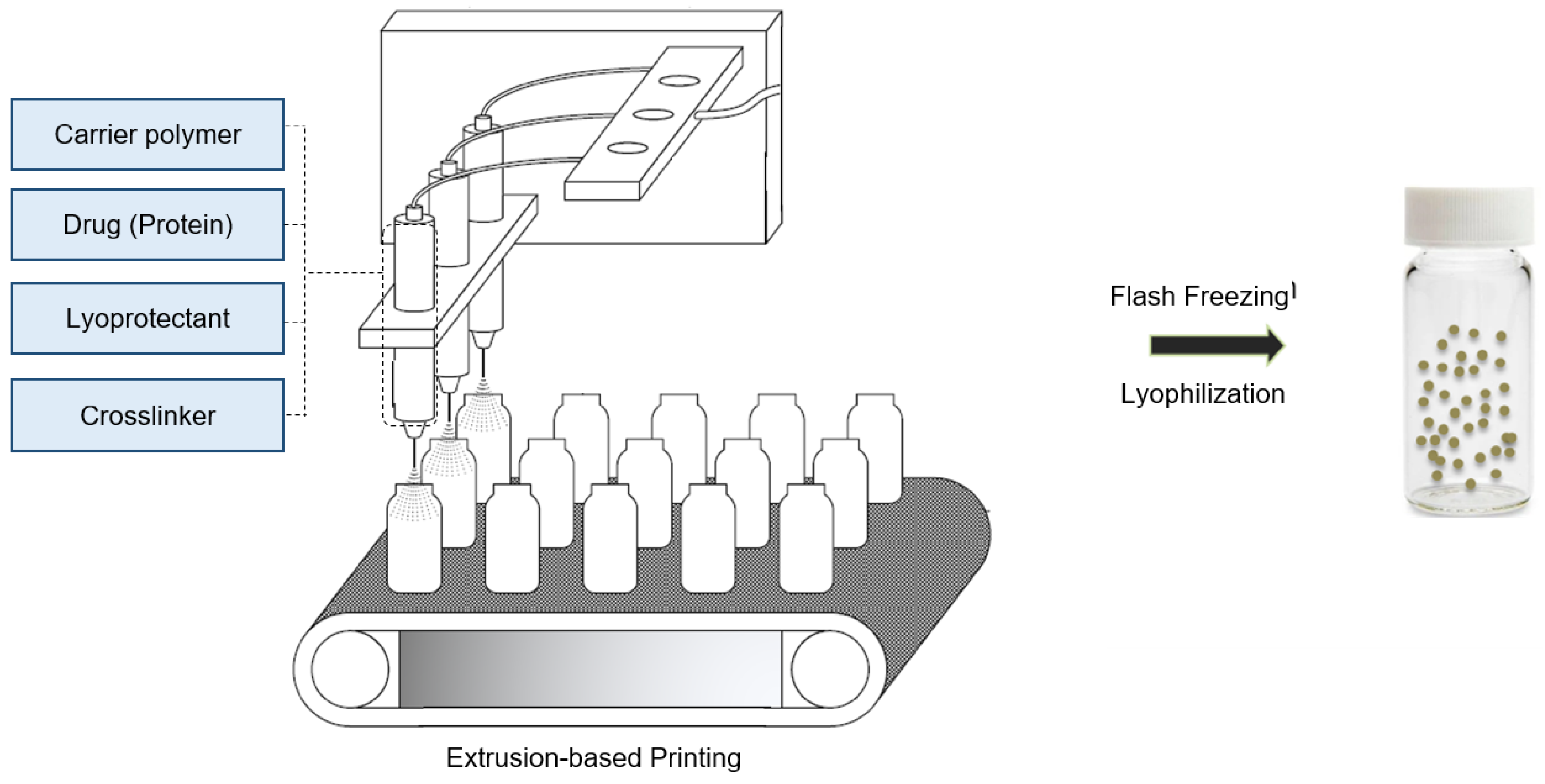Bioengineering 09 00653 g001