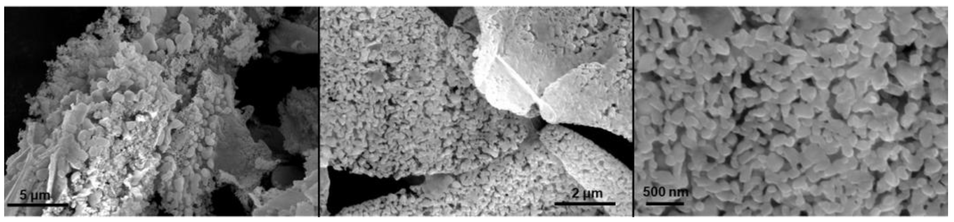 Bioengineering 09 00653 g005