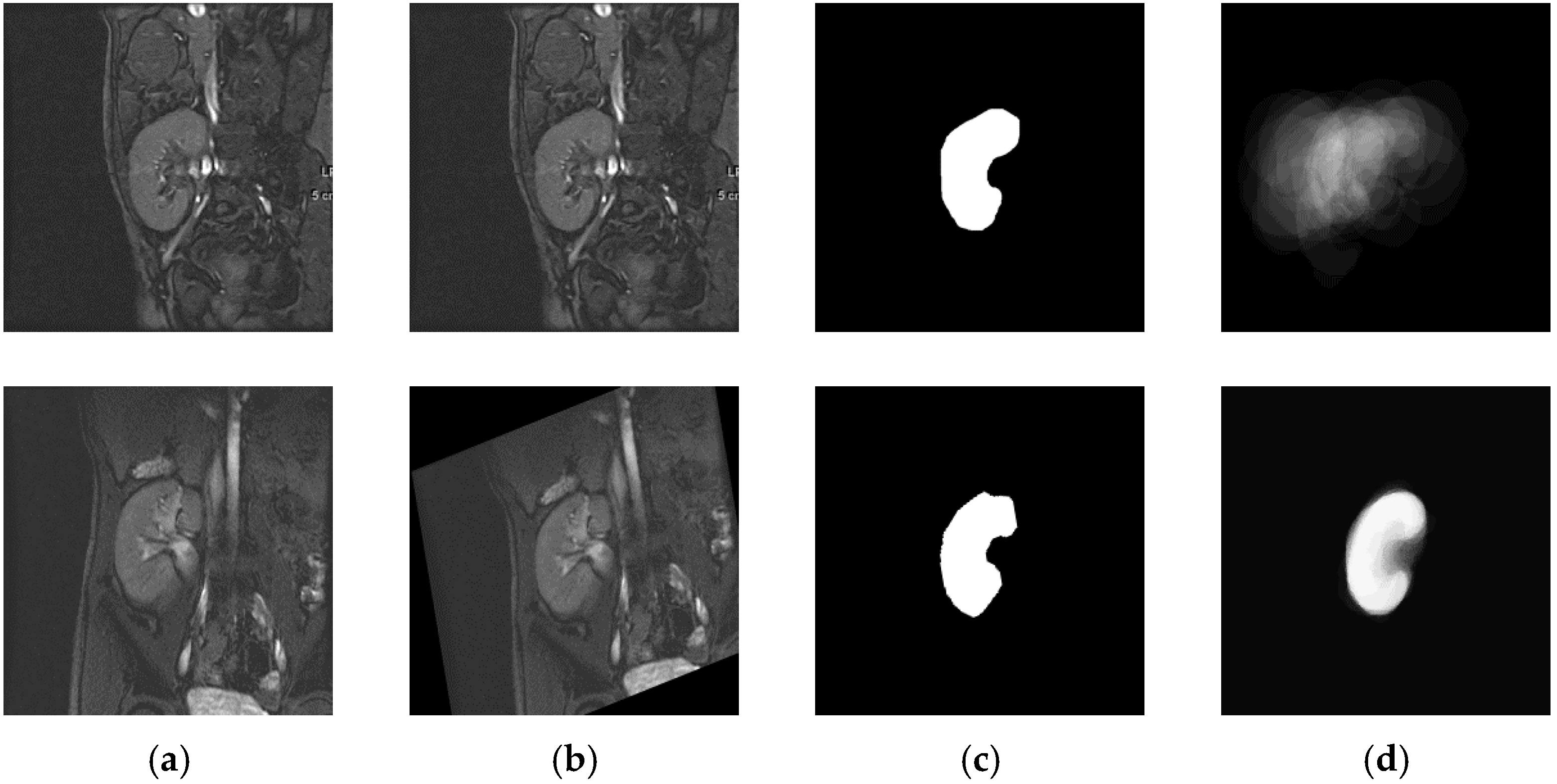 Bioengineering 09 00654 g003