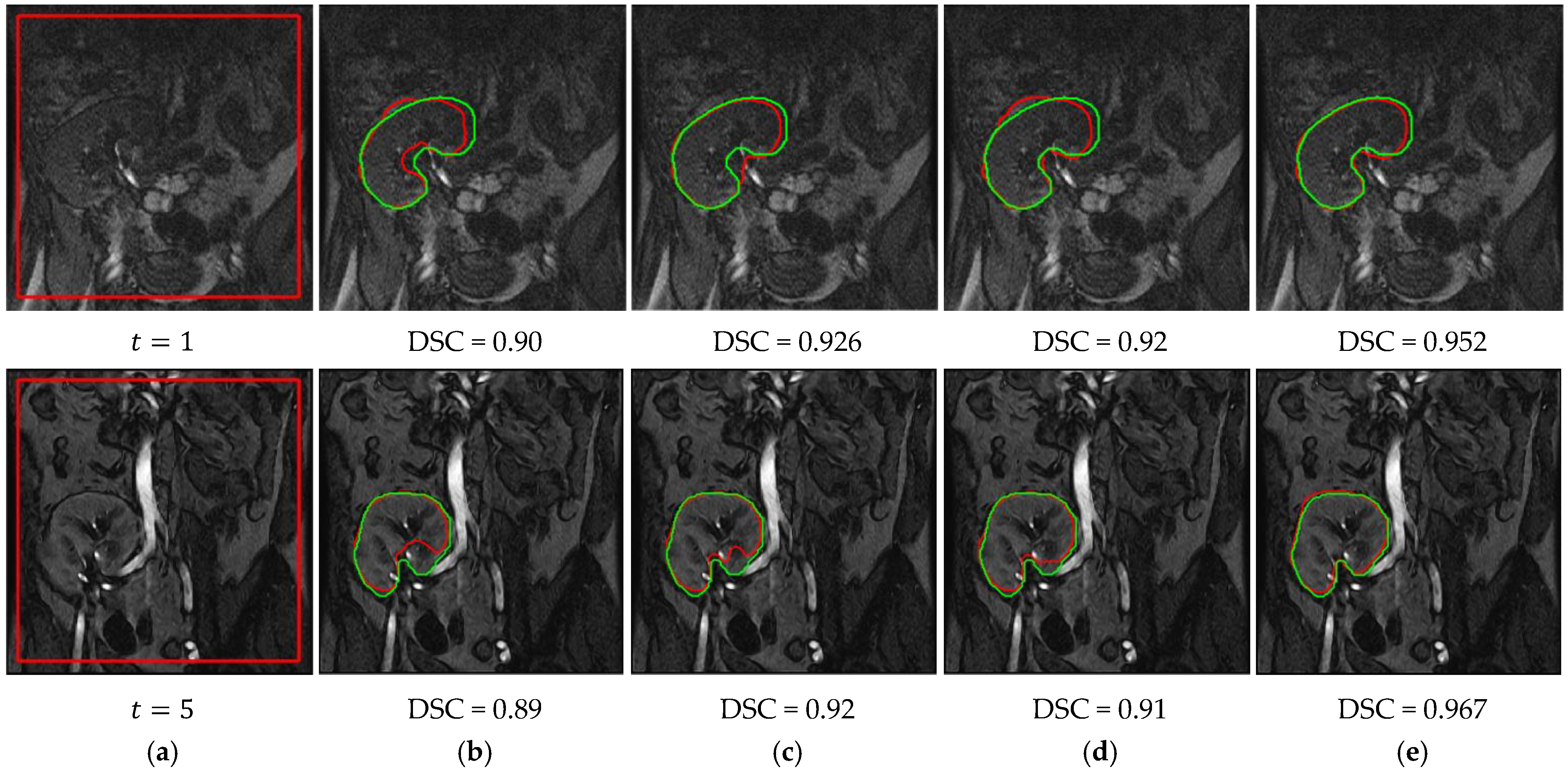 Bioengineering 09 00654 g008