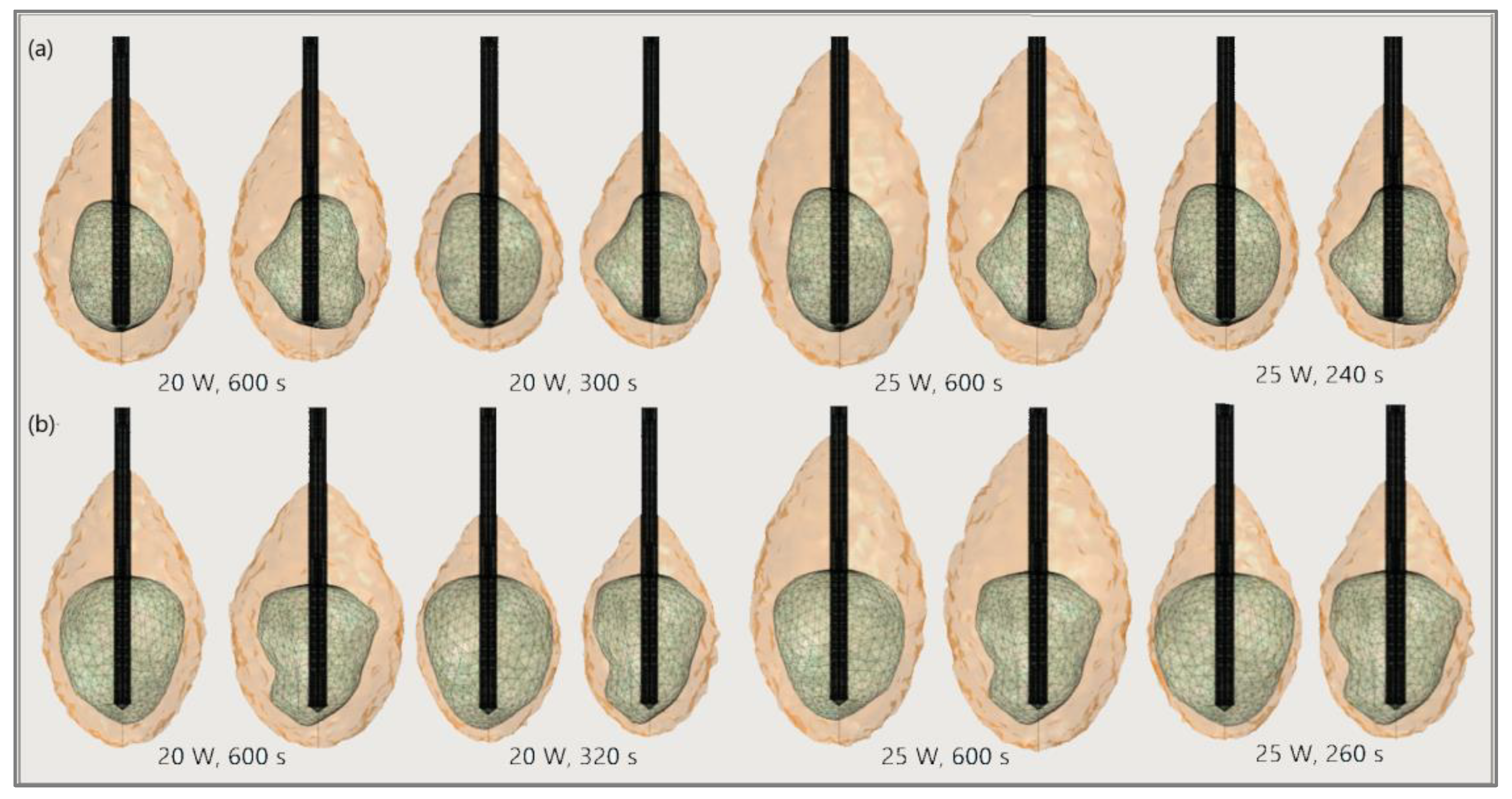 Bioengineering 09 00656 g020