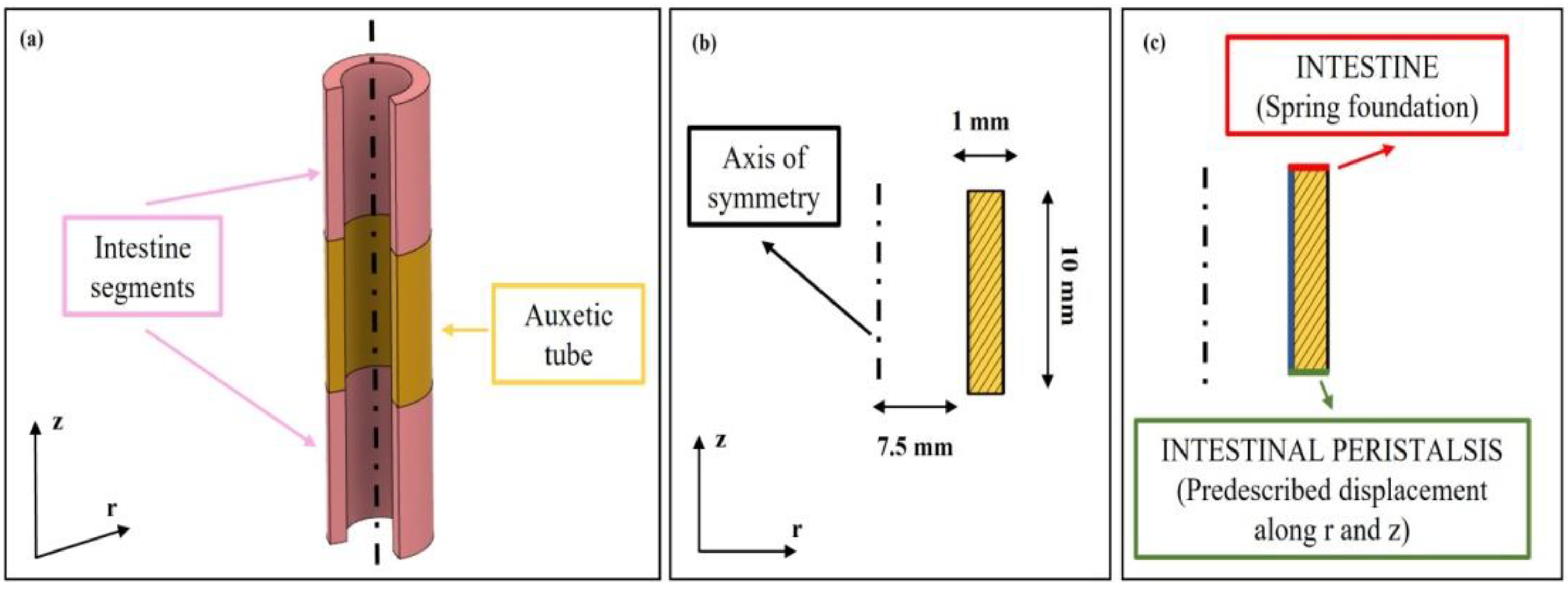 Bioengineering 09 00658 g001