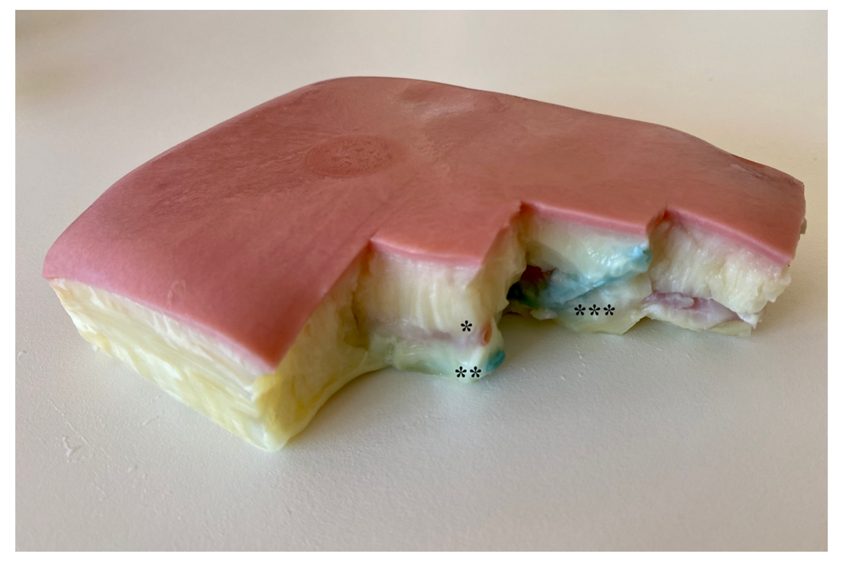 Bioengineering 09 00659 g001