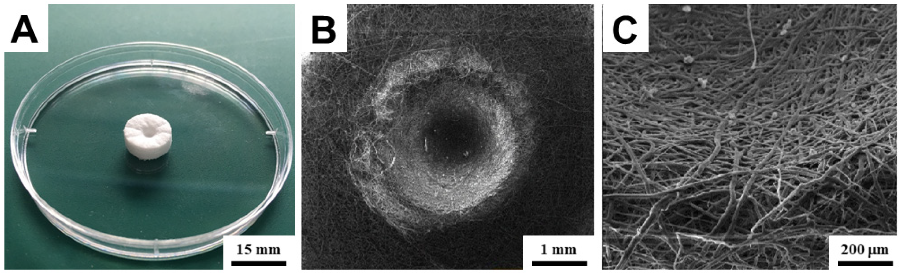 Bioengineering 09 00660 g003
