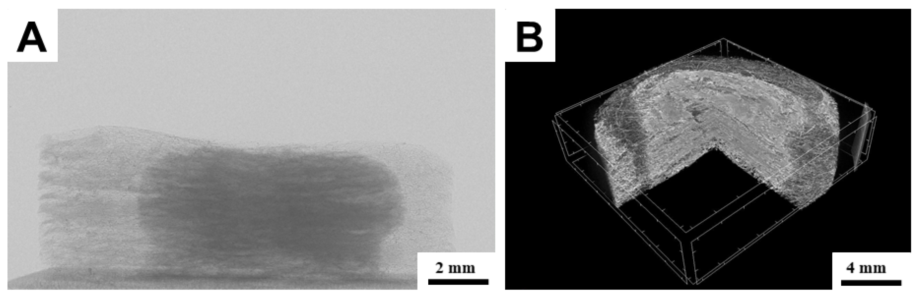Bioengineering 09 00660 g011