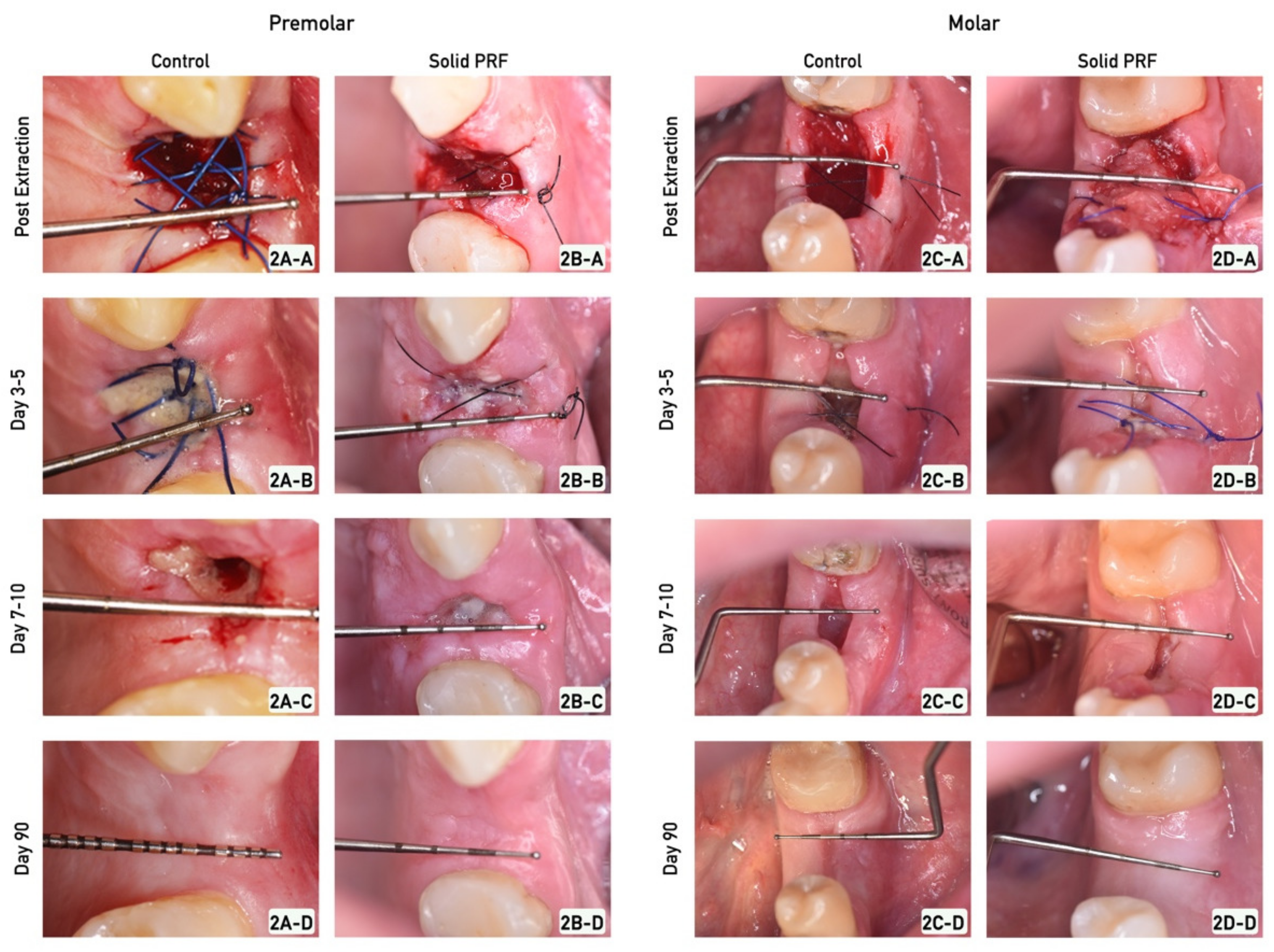 Bioengineering 09 00661 g002