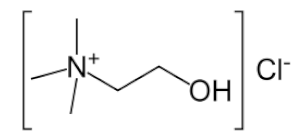 Bioengineering 09 00665 i011 Bioengineering 09 00665 i011