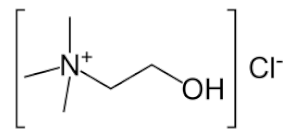 Bioengineering 09 00665 i013 Bioengineering 09 00665 i013