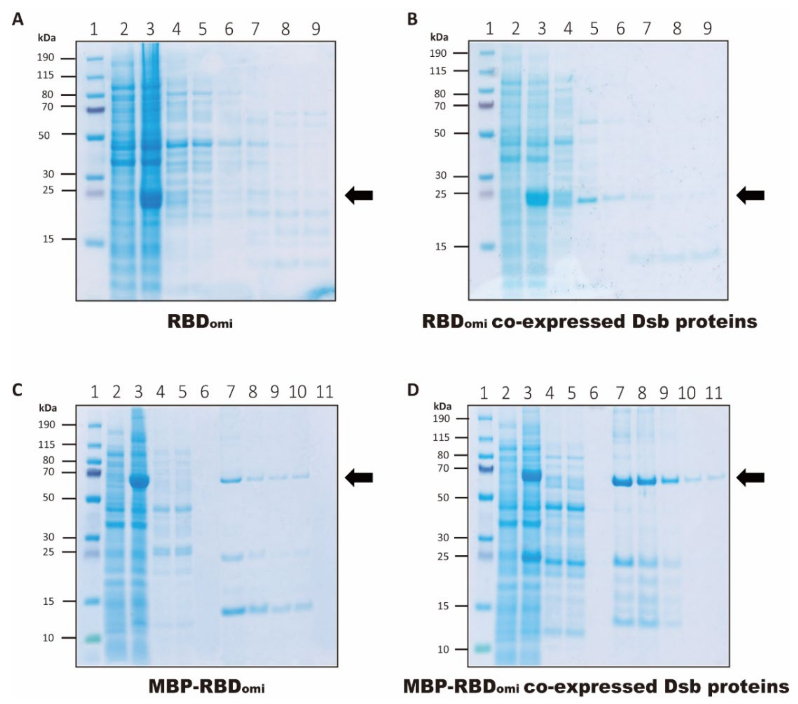 Bioengineering 09 00670 g002