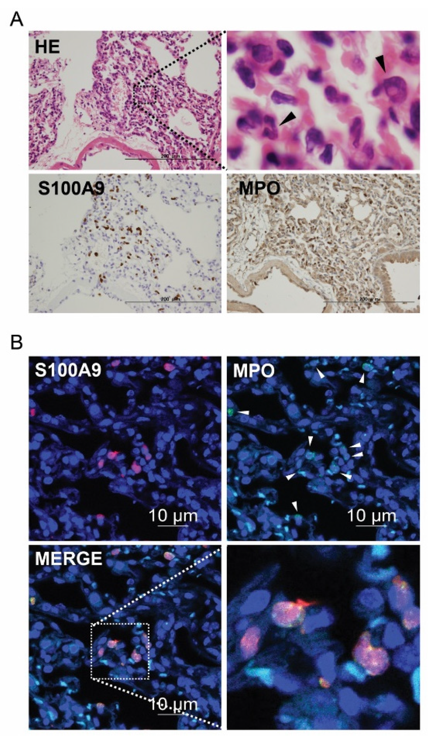 Bioengineering 09 00673 g004
