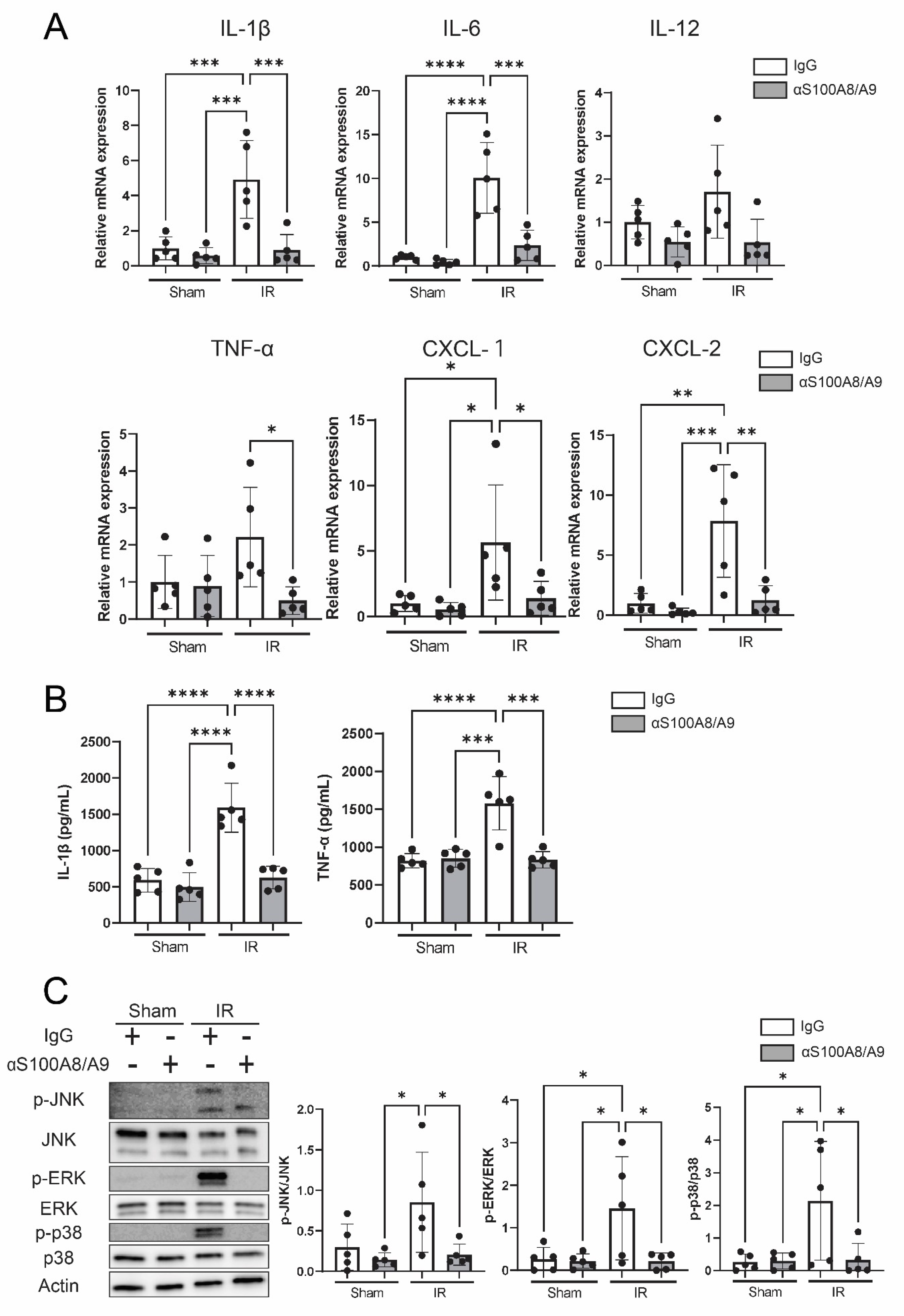 Bioengineering 09 00673 g006