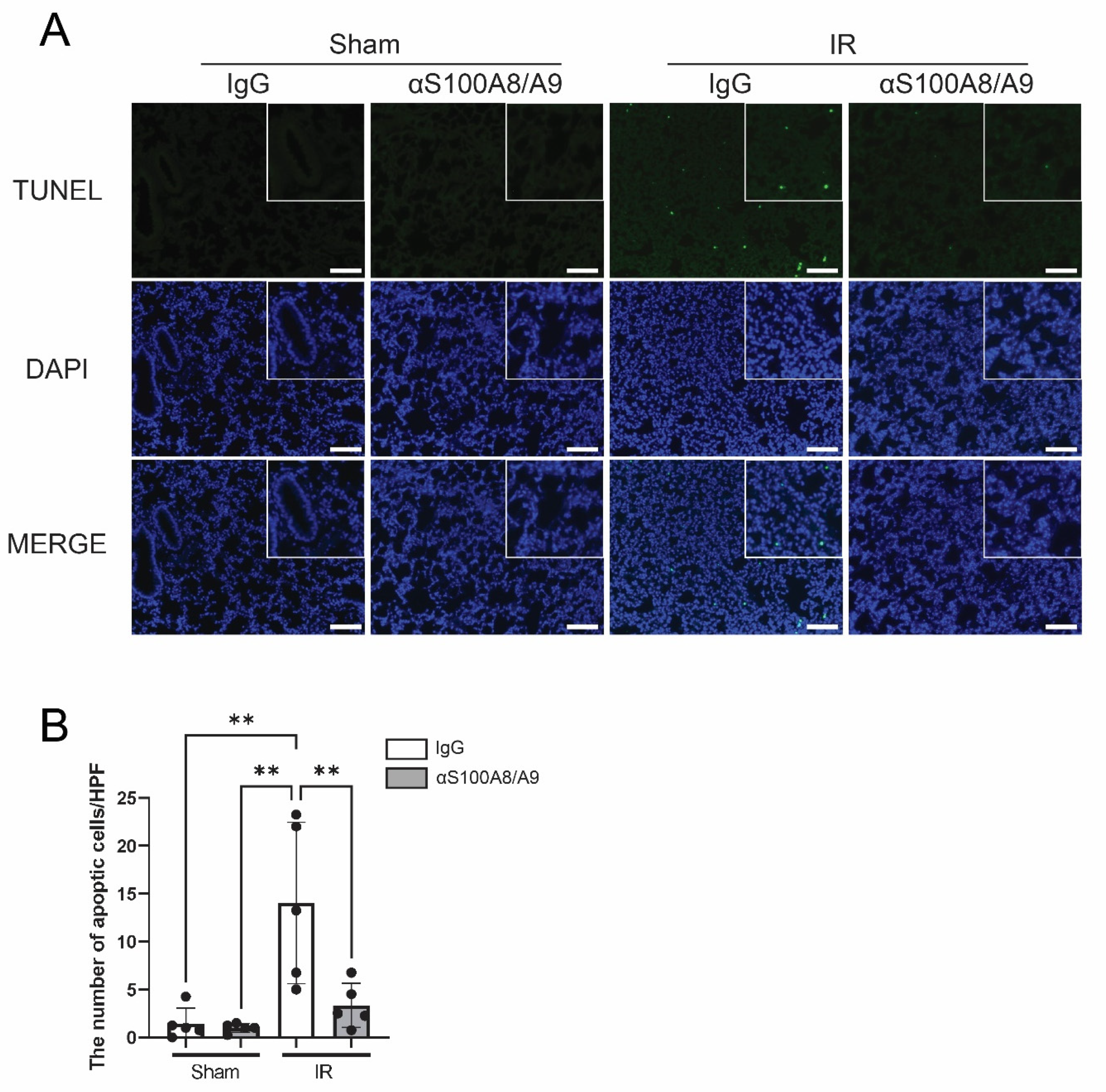 Bioengineering 09 00673 g007