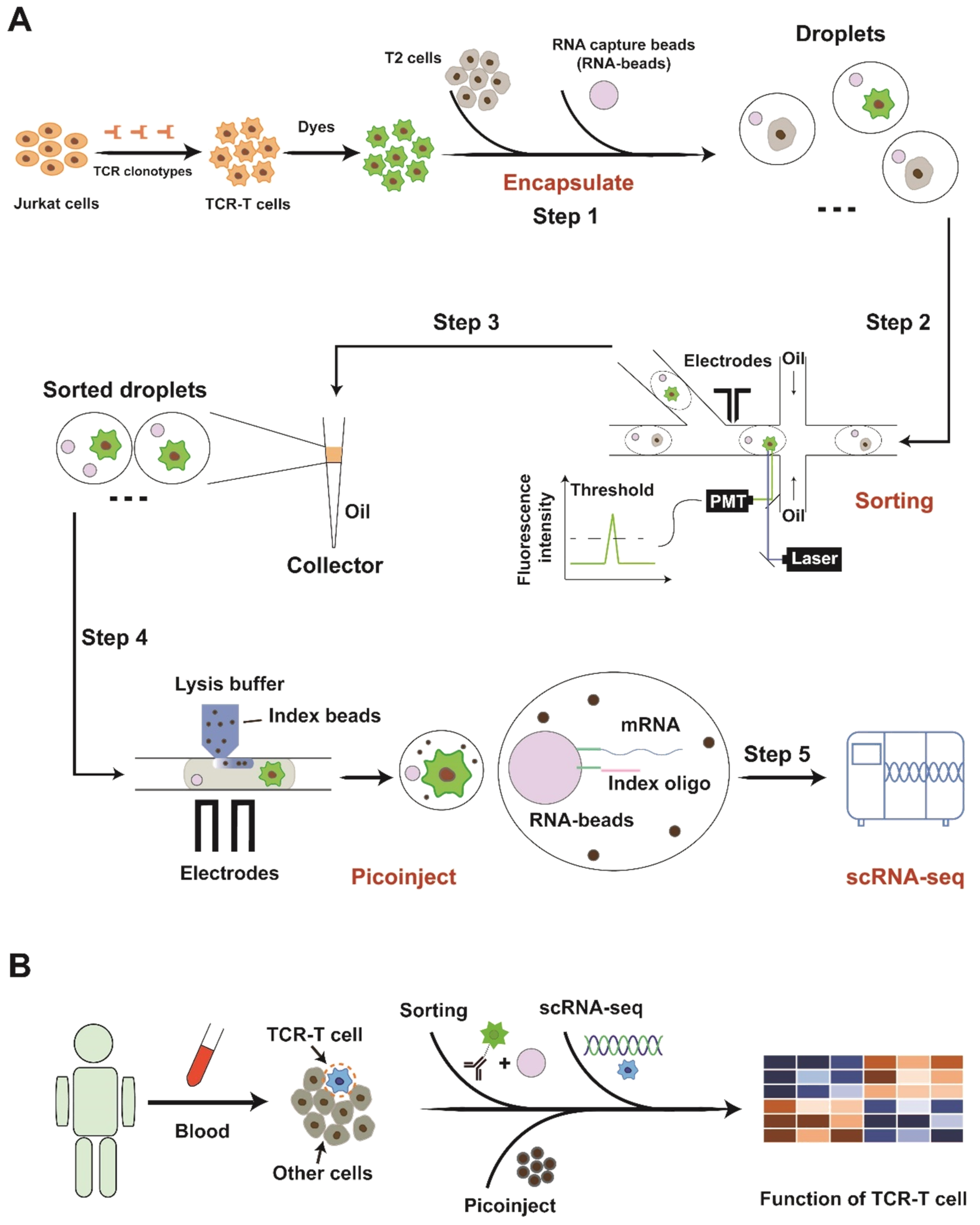 Bioengineering 09 00674 g001 Bioengineering 09 00674 g001