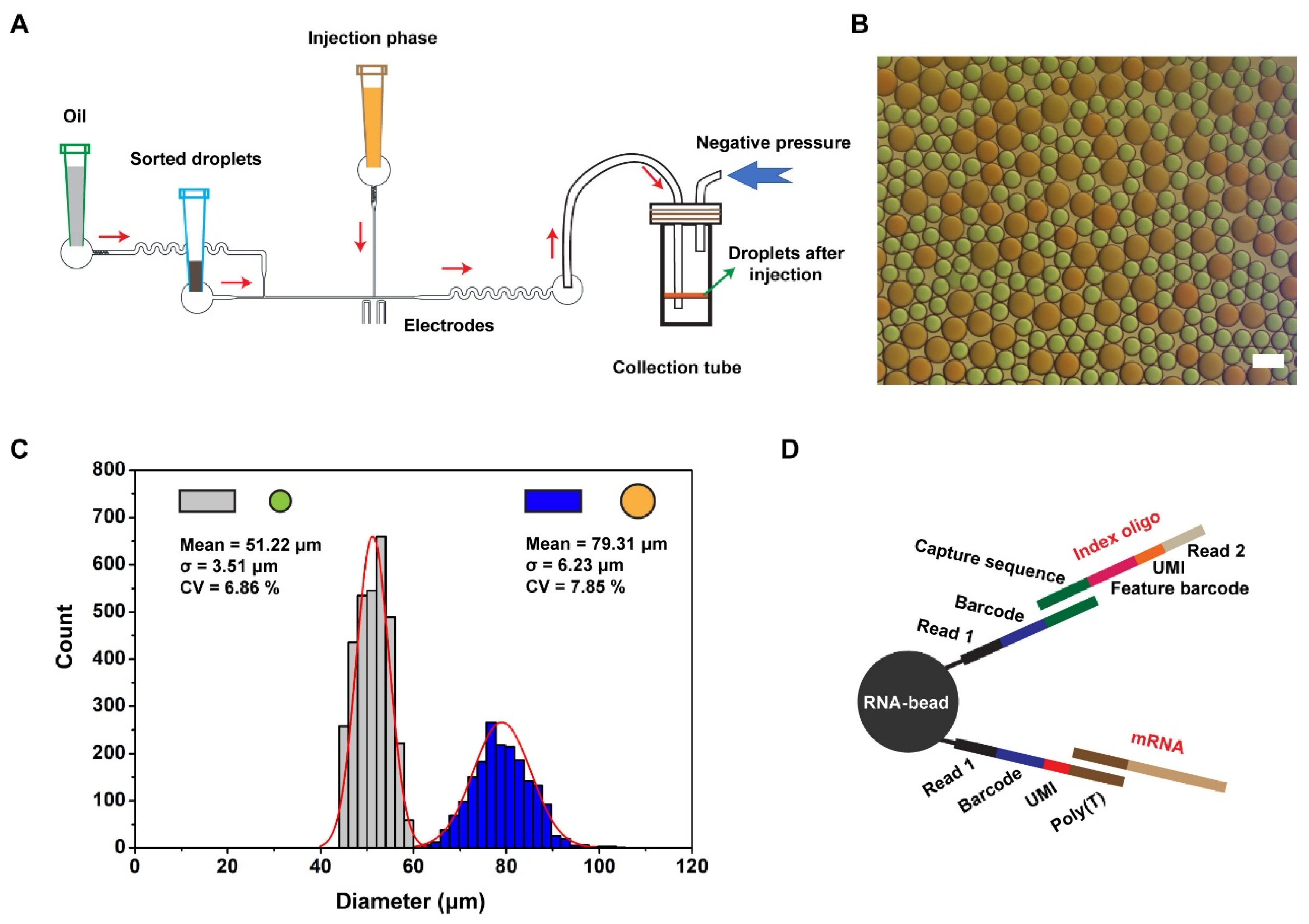 Bioengineering 09 00674 g003 Bioengineering 09 00674 g003