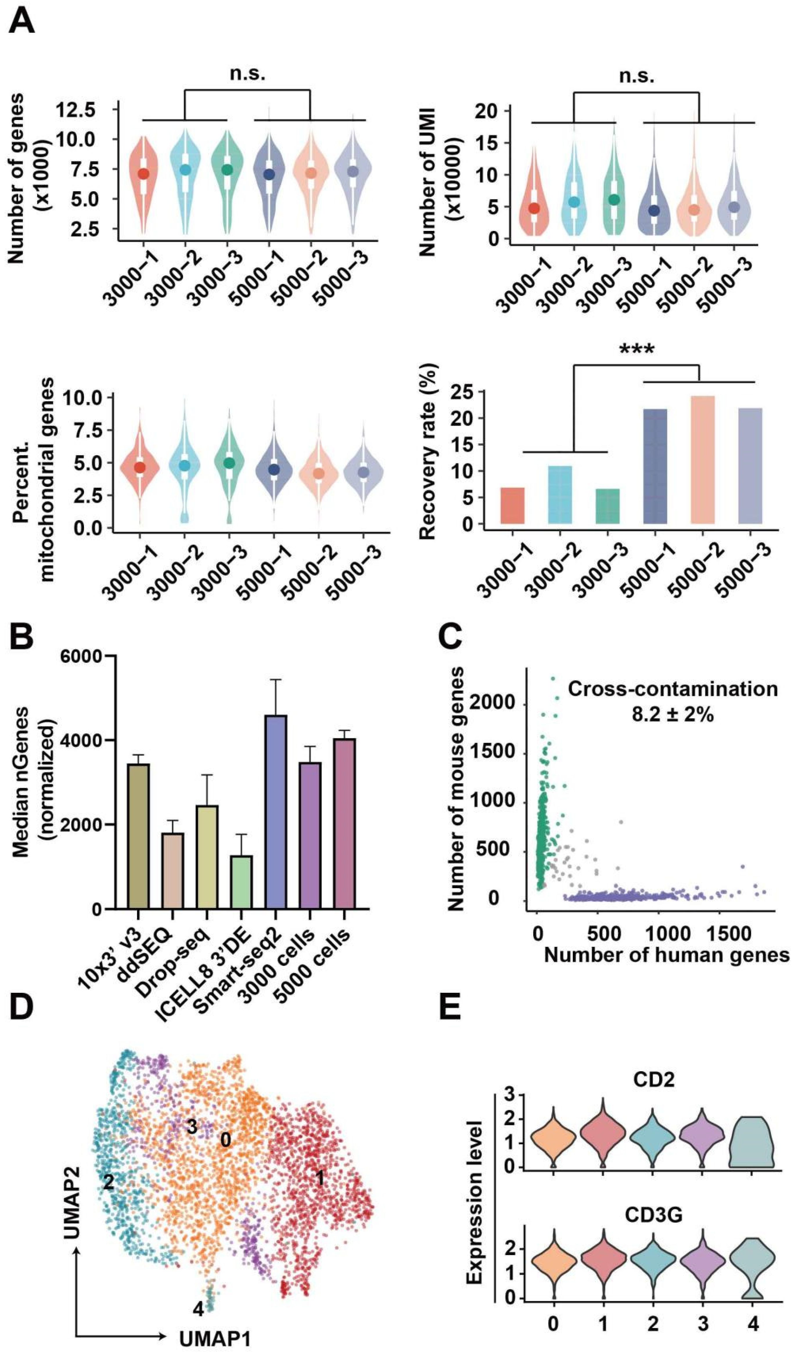 Bioengineering 09 00674 g004 Bioengineering 09 00674 g004