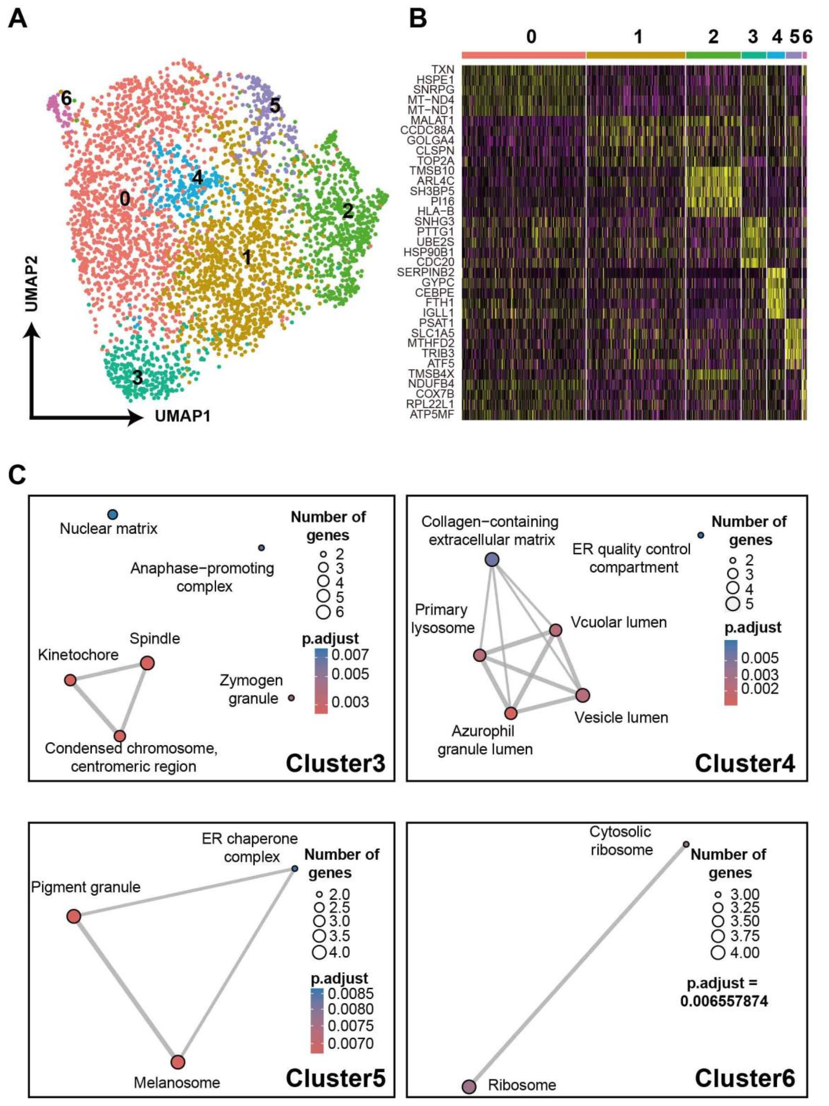 Bioengineering 09 00674 g005 Bioengineering 09 00674 g005