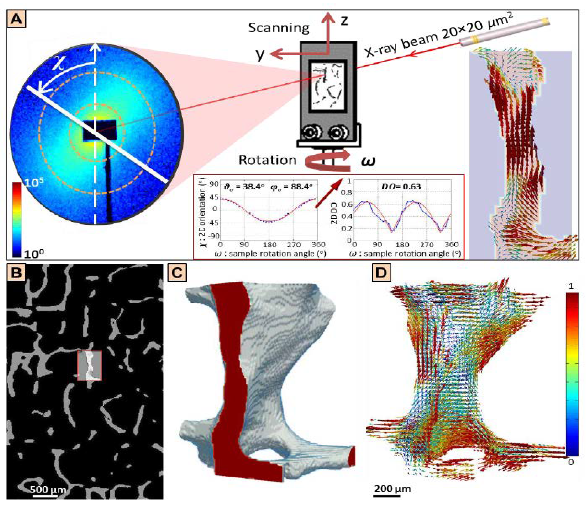 Bioengineering 09 00677 g001 Bioengineering 09 00677 g001