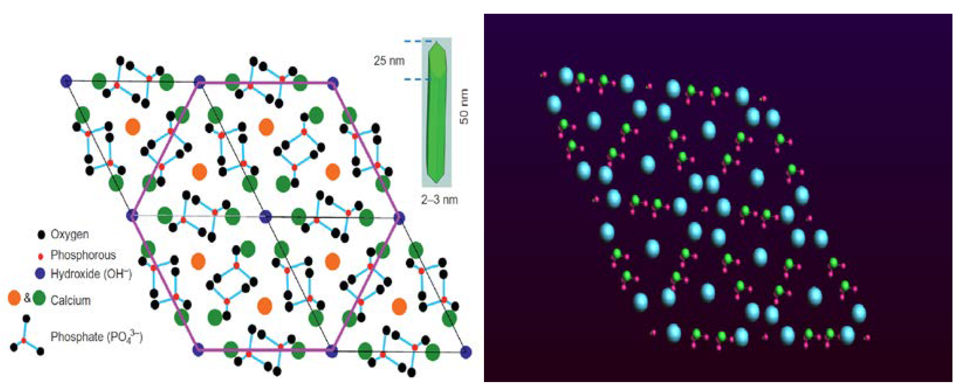 Bioengineering 09 00677 g005 Bioengineering 09 00677 g005