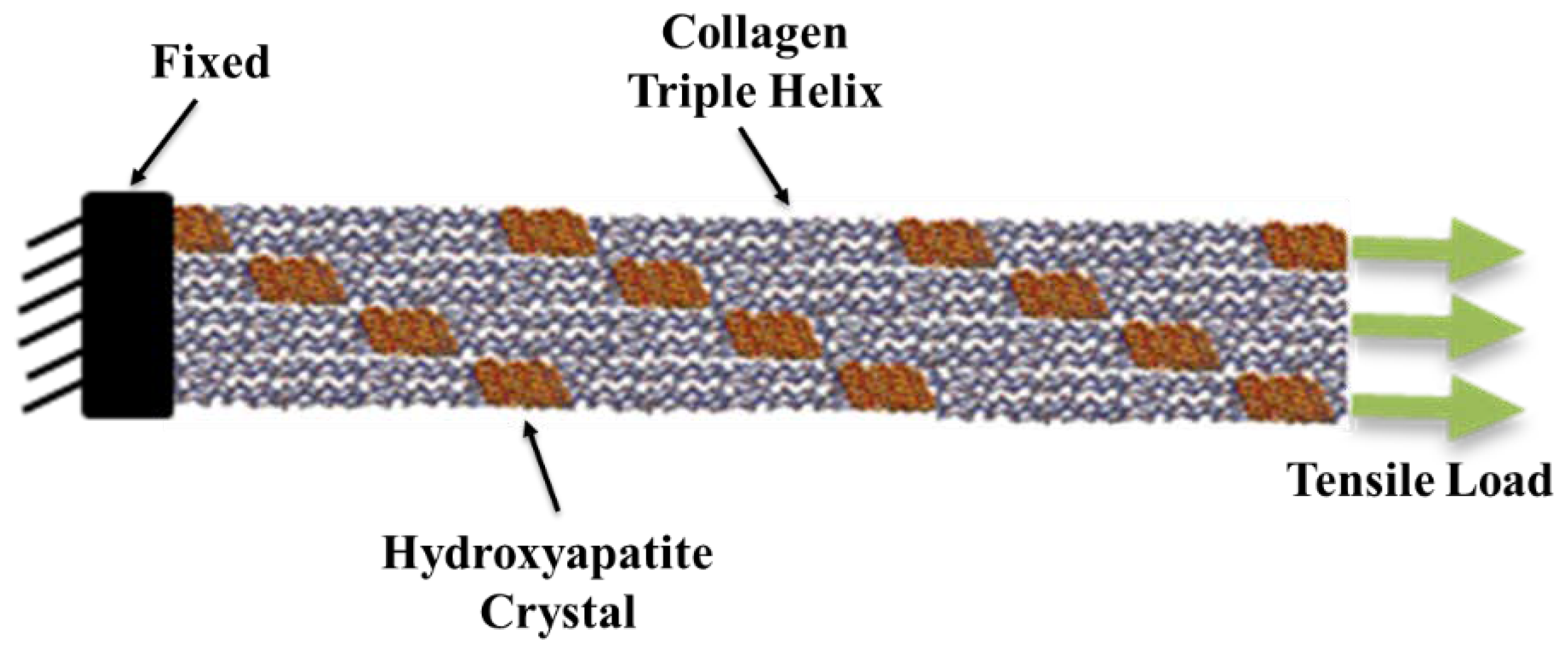 Bioengineering 09 00677 g008a Bioengineering 09 00677 g008a