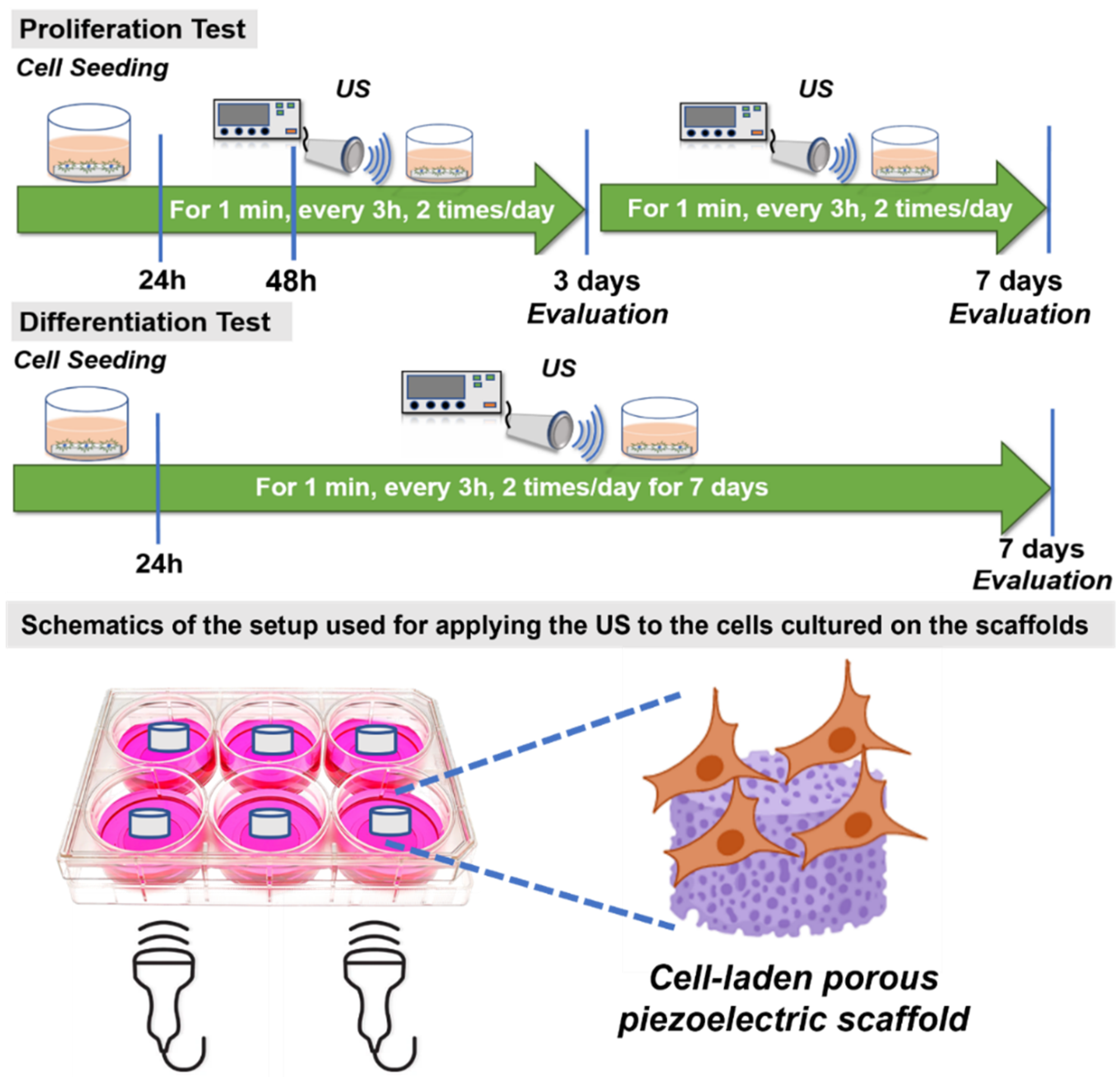 Bioengineering 09 00679 g005 Bioengineering 09 00679 g005