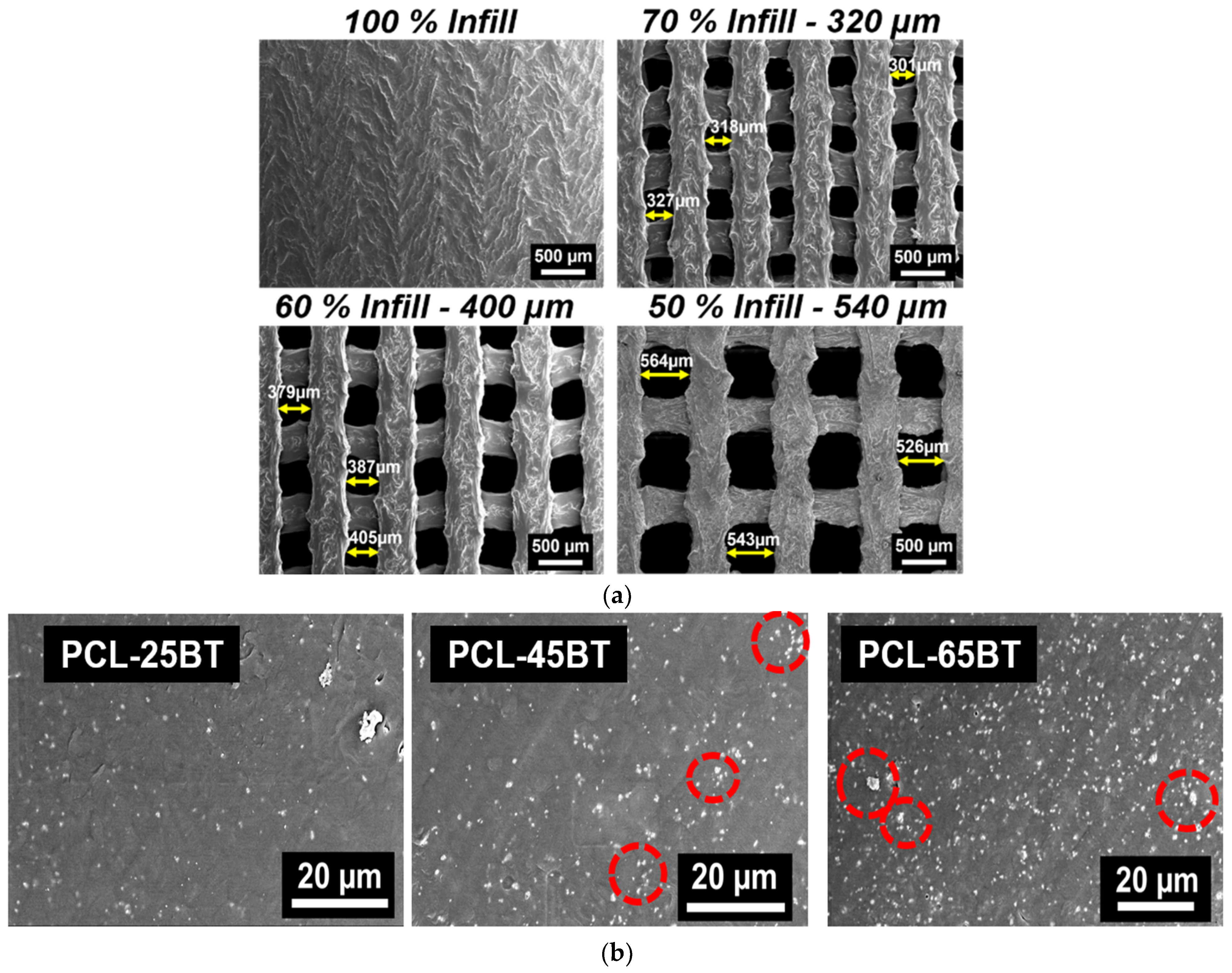 Bioengineering 09 00679 g007 Bioengineering 09 00679 g007