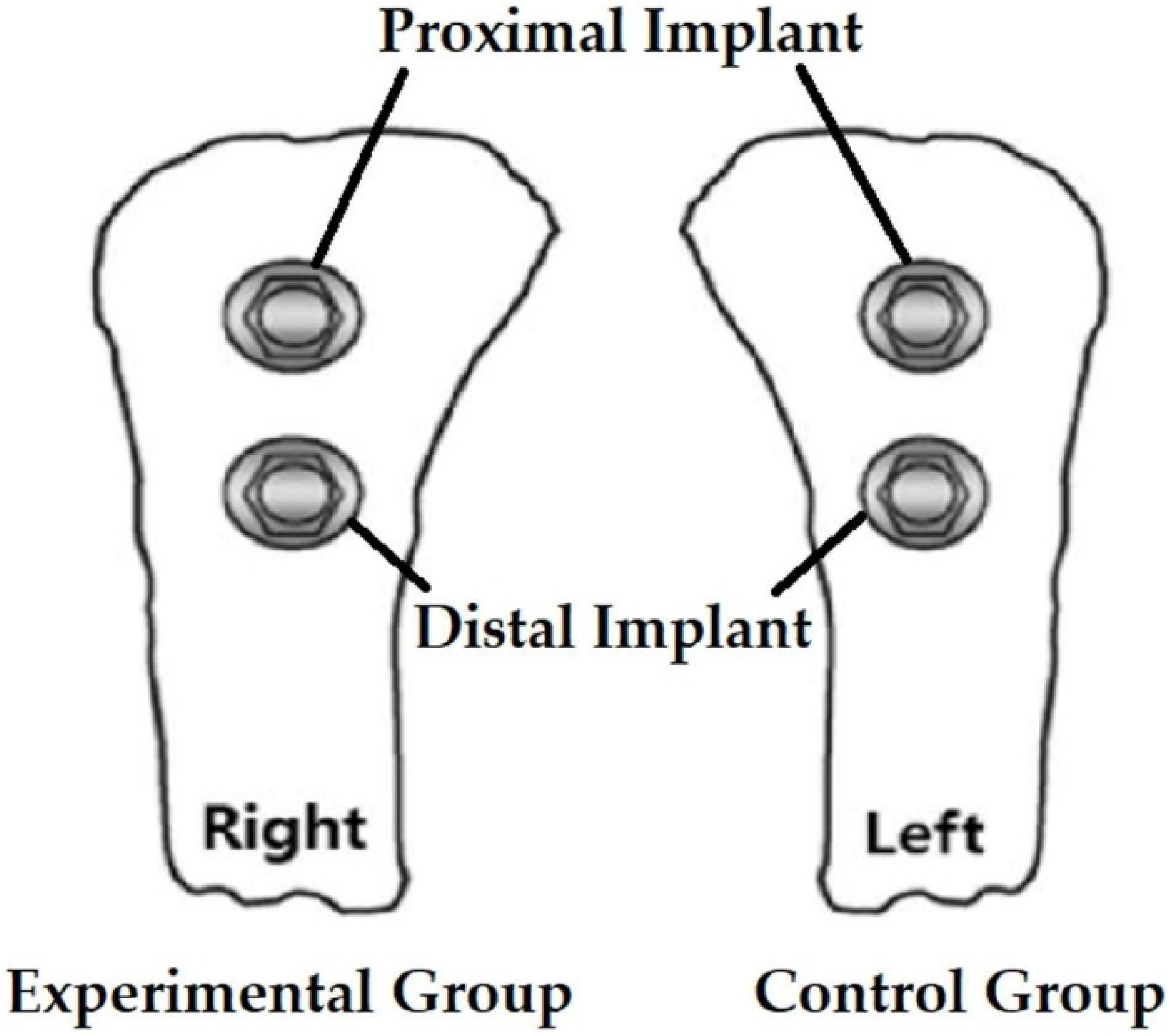 Bioengineering 09 00681 g002 Bioengineering 09 00681 g002