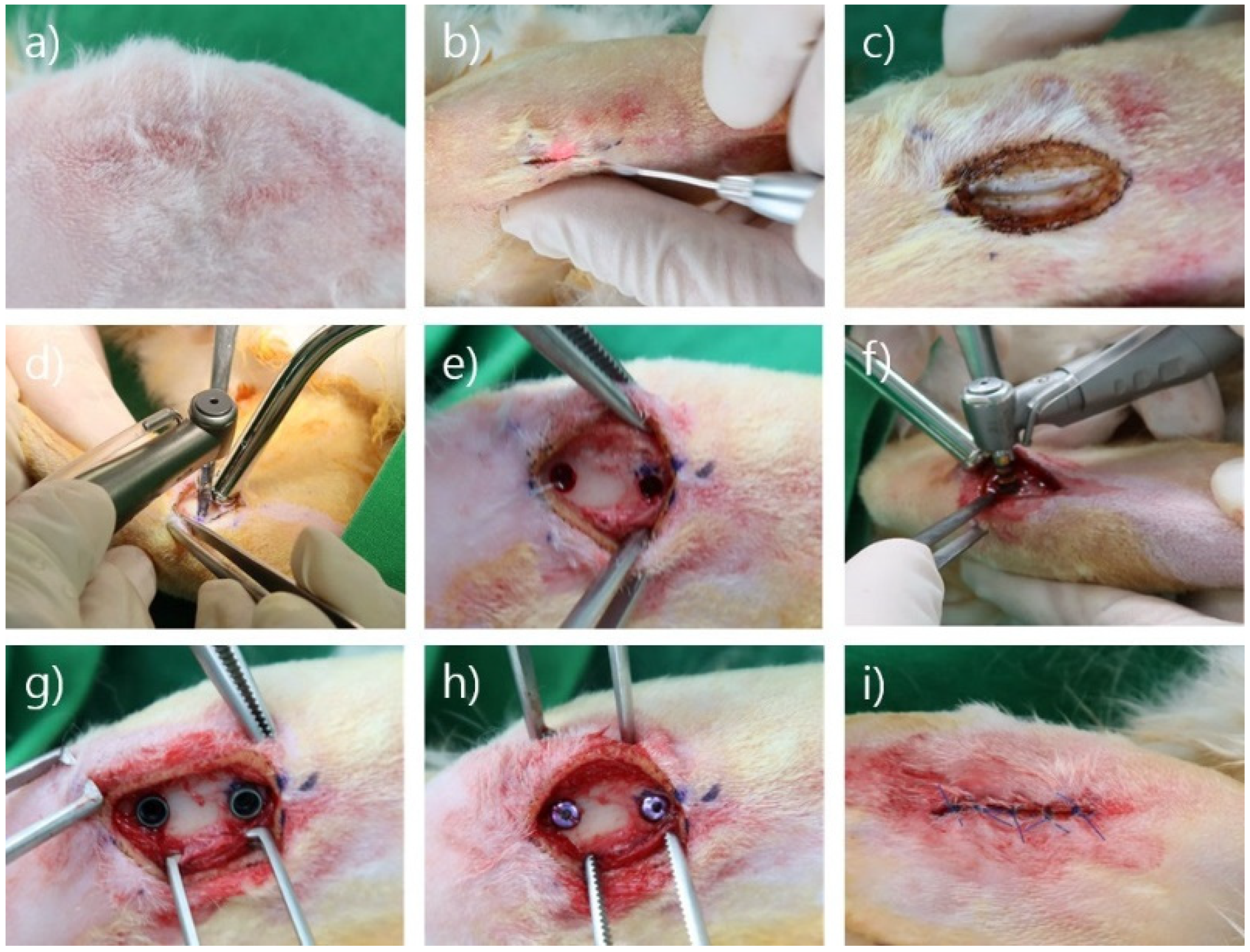 Bioengineering 09 00681 g003 Bioengineering 09 00681 g003