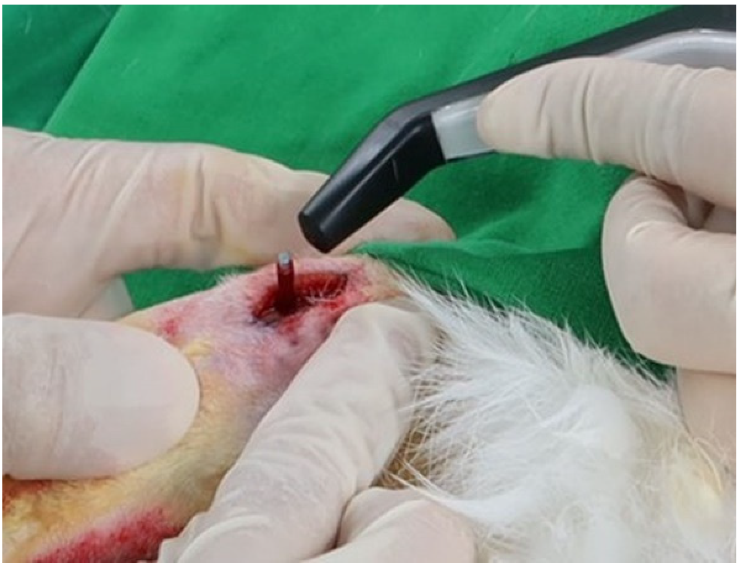 Bioengineering 09 00681 g004 Bioengineering 09 00681 g004