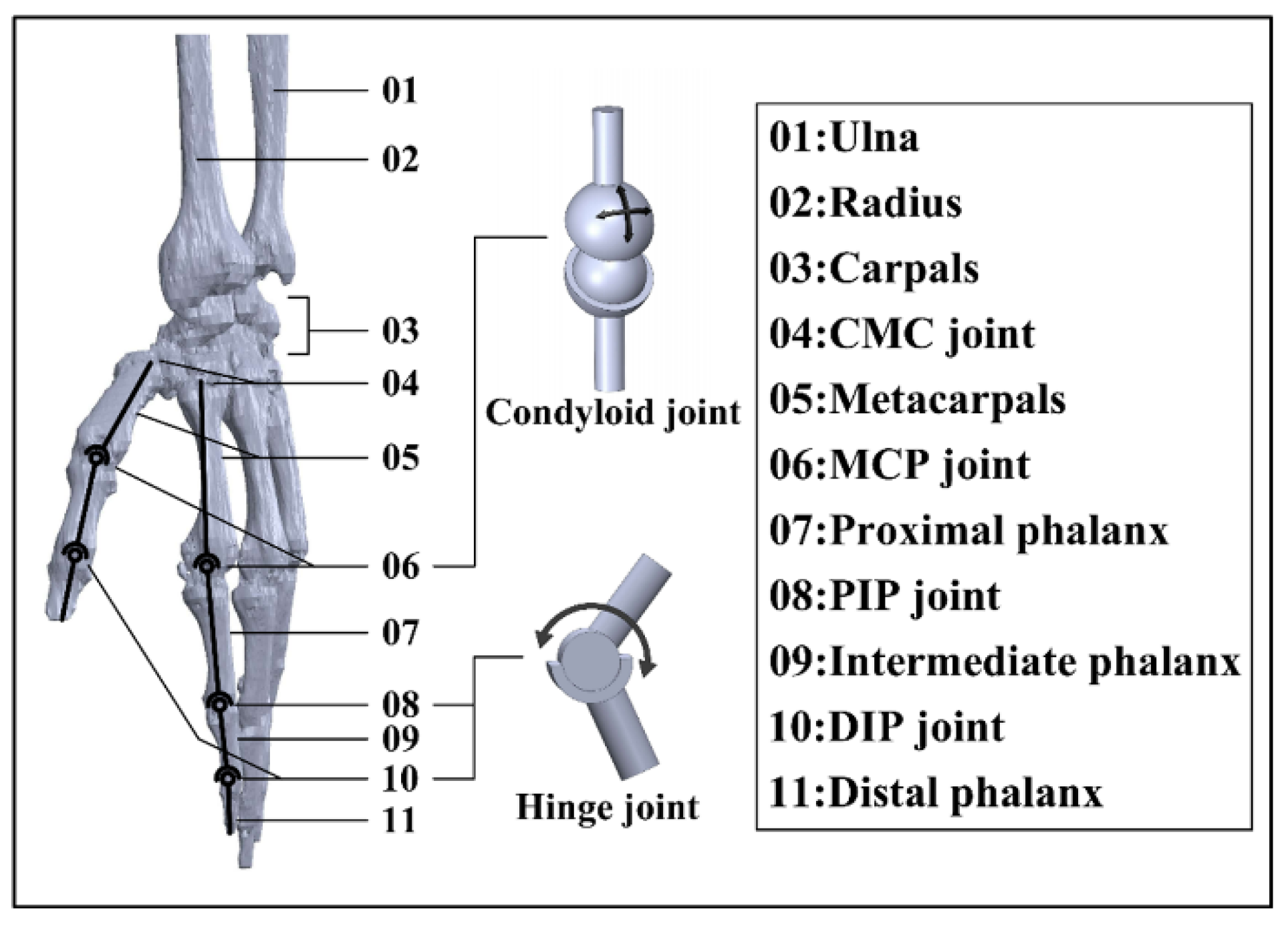 Bioengineering 09 00682 g001