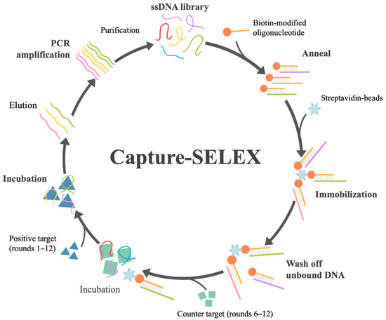 A Rapid and Sensitive Aptamer-Based Biosensor for Amnesic