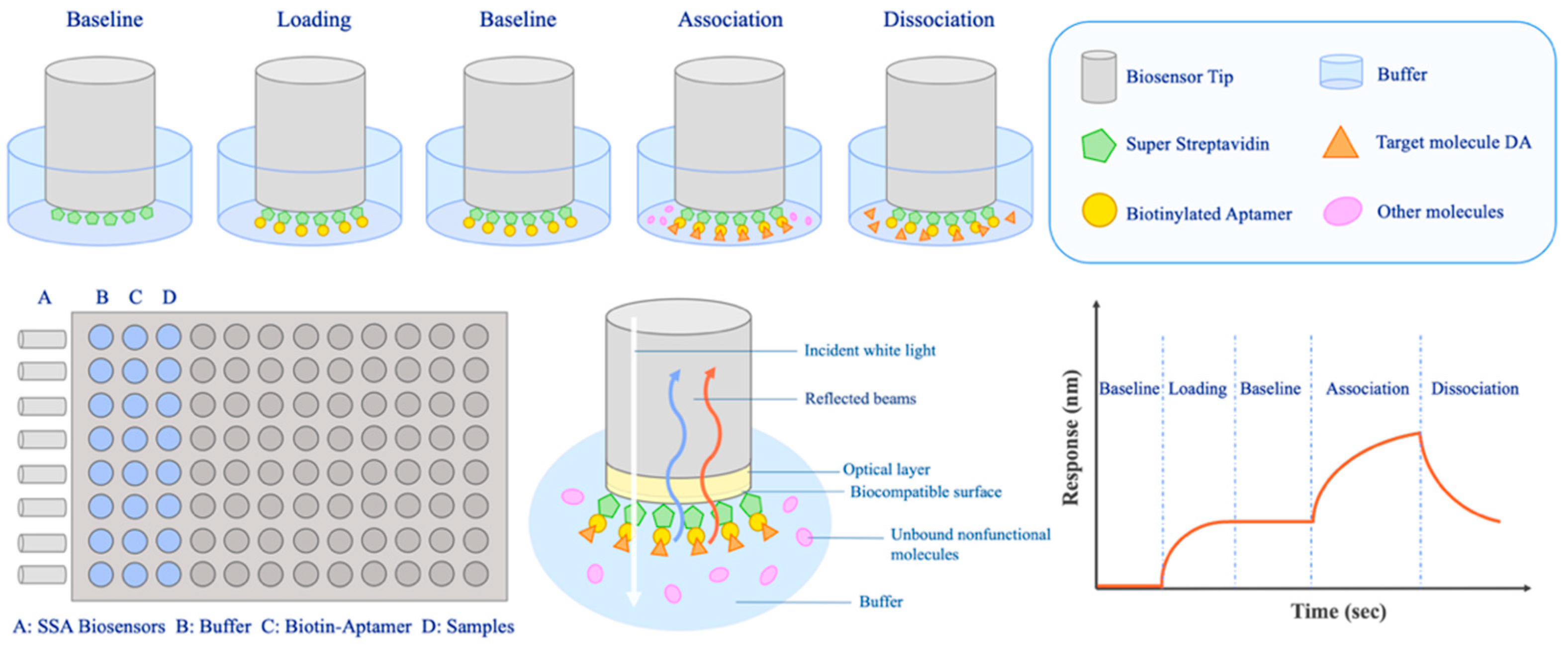 Bioengineering 09 00684 g006