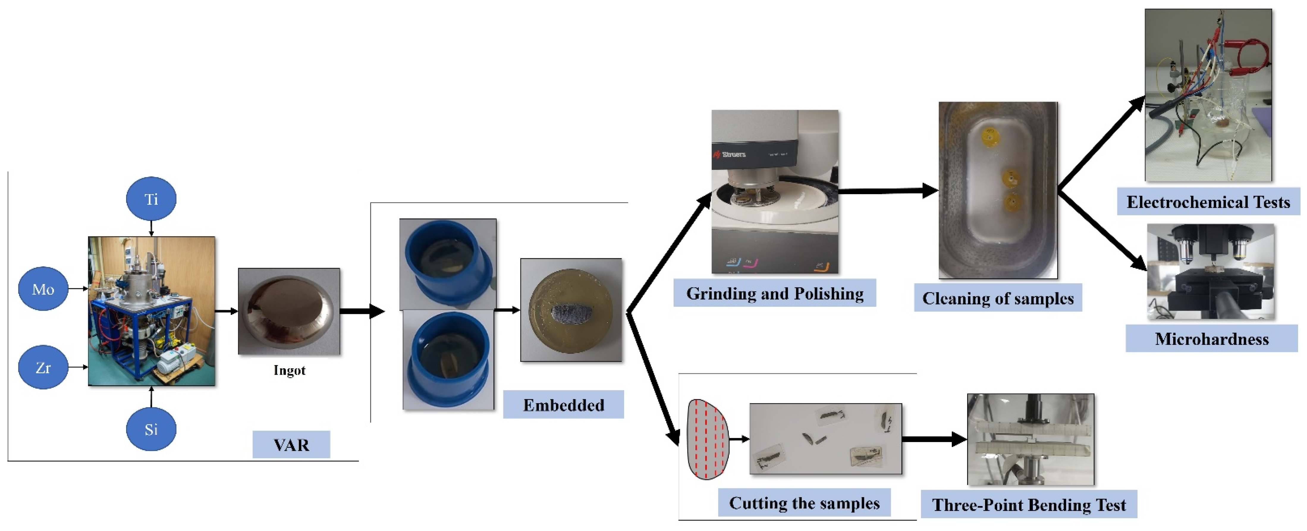 Bioengineering 09 00686 g001