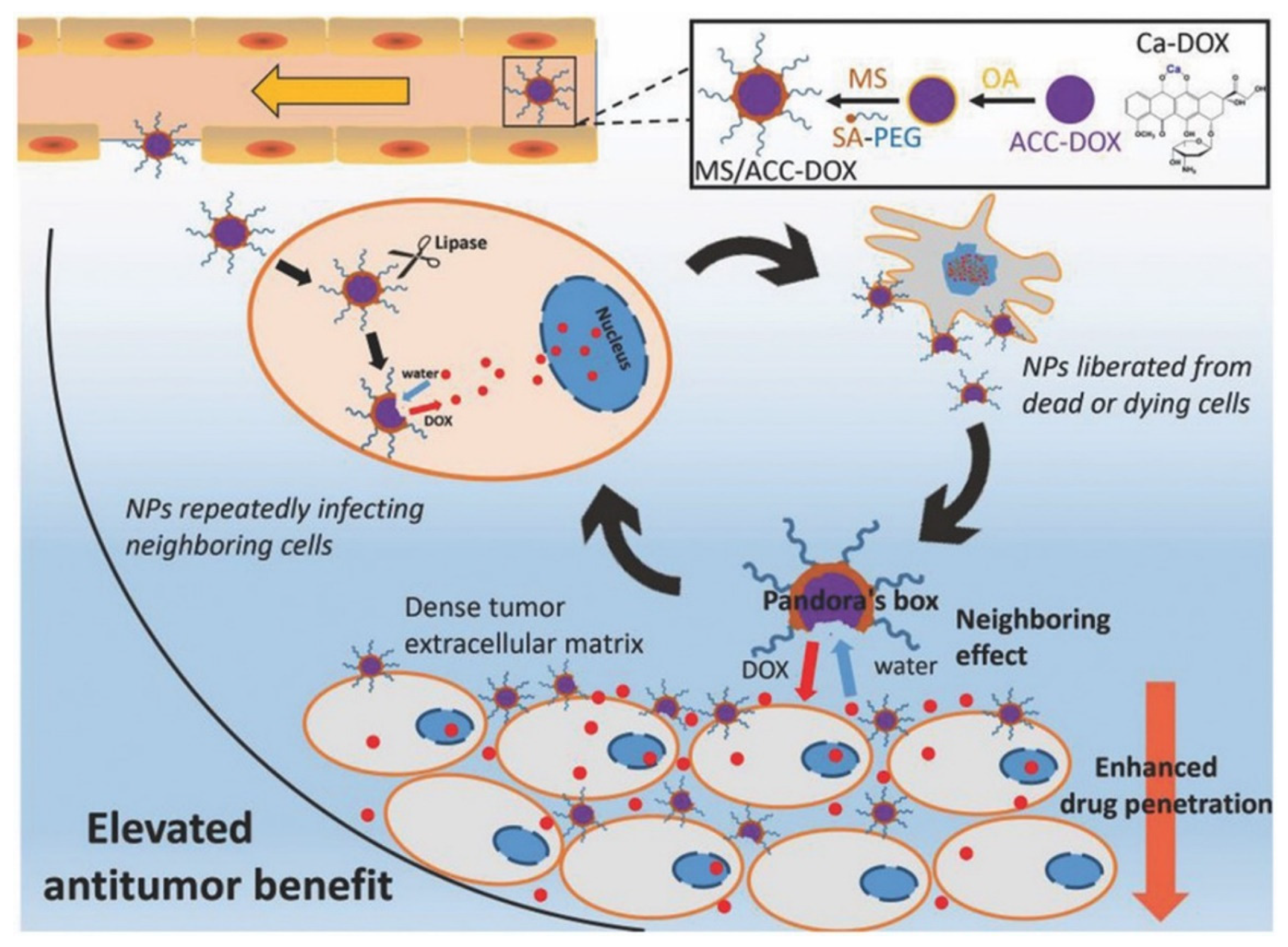 Bioengineering 09 00691 g003
