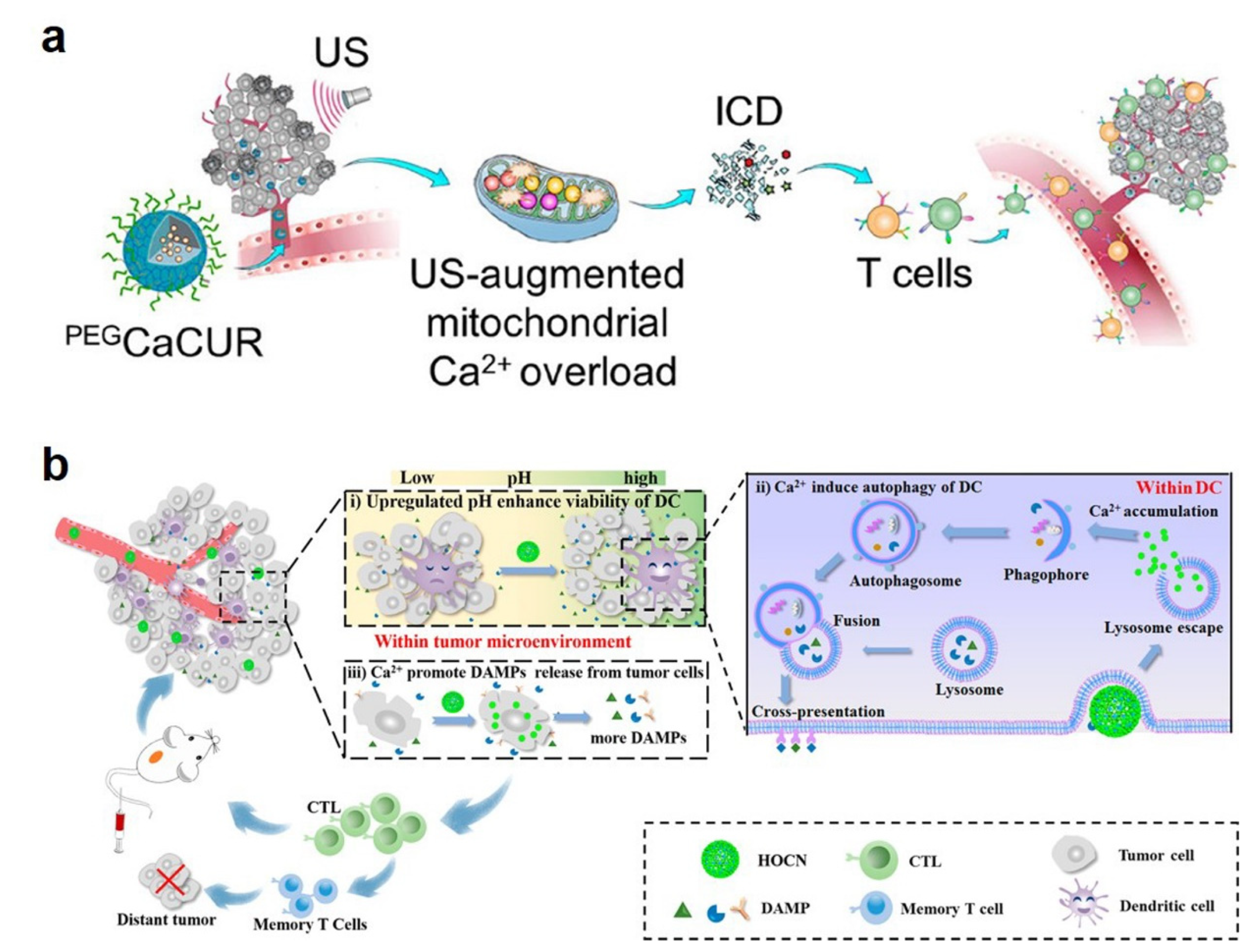 Bioengineering 09 00691 g005