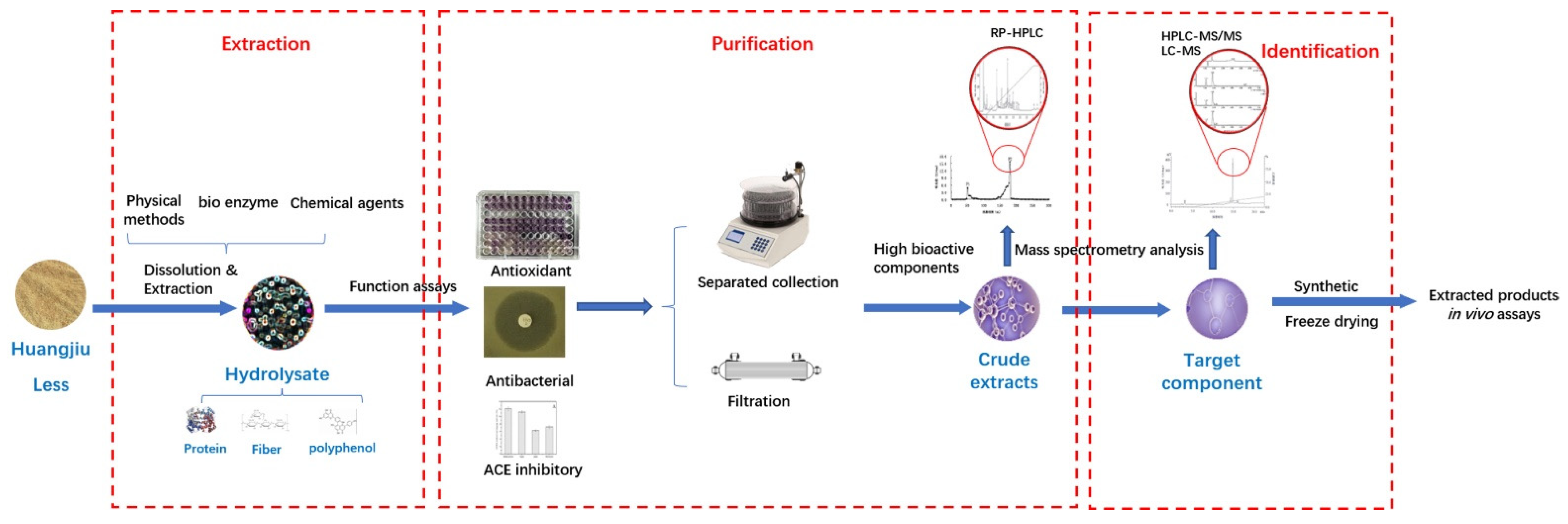 Bioengineering 09 00695 g002