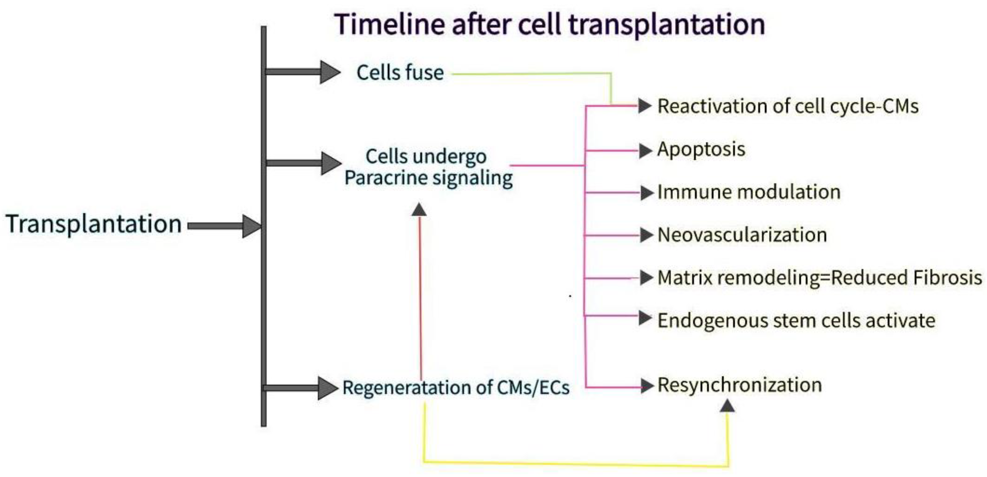 Bioengineering 09 00696 g003 Bioengineering 09 00696 g003