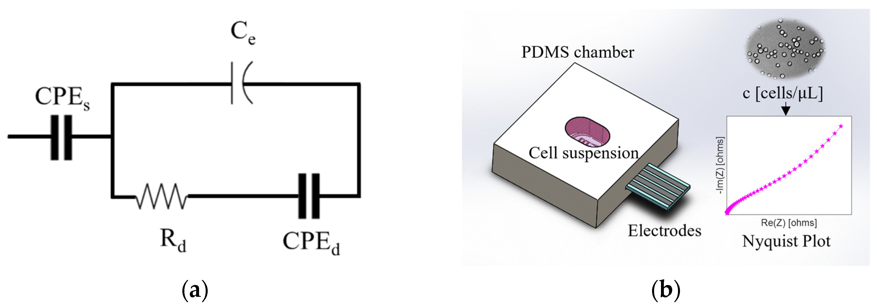 Bioengineering 09 00697 g002 Bioengineering 09 00697 g002