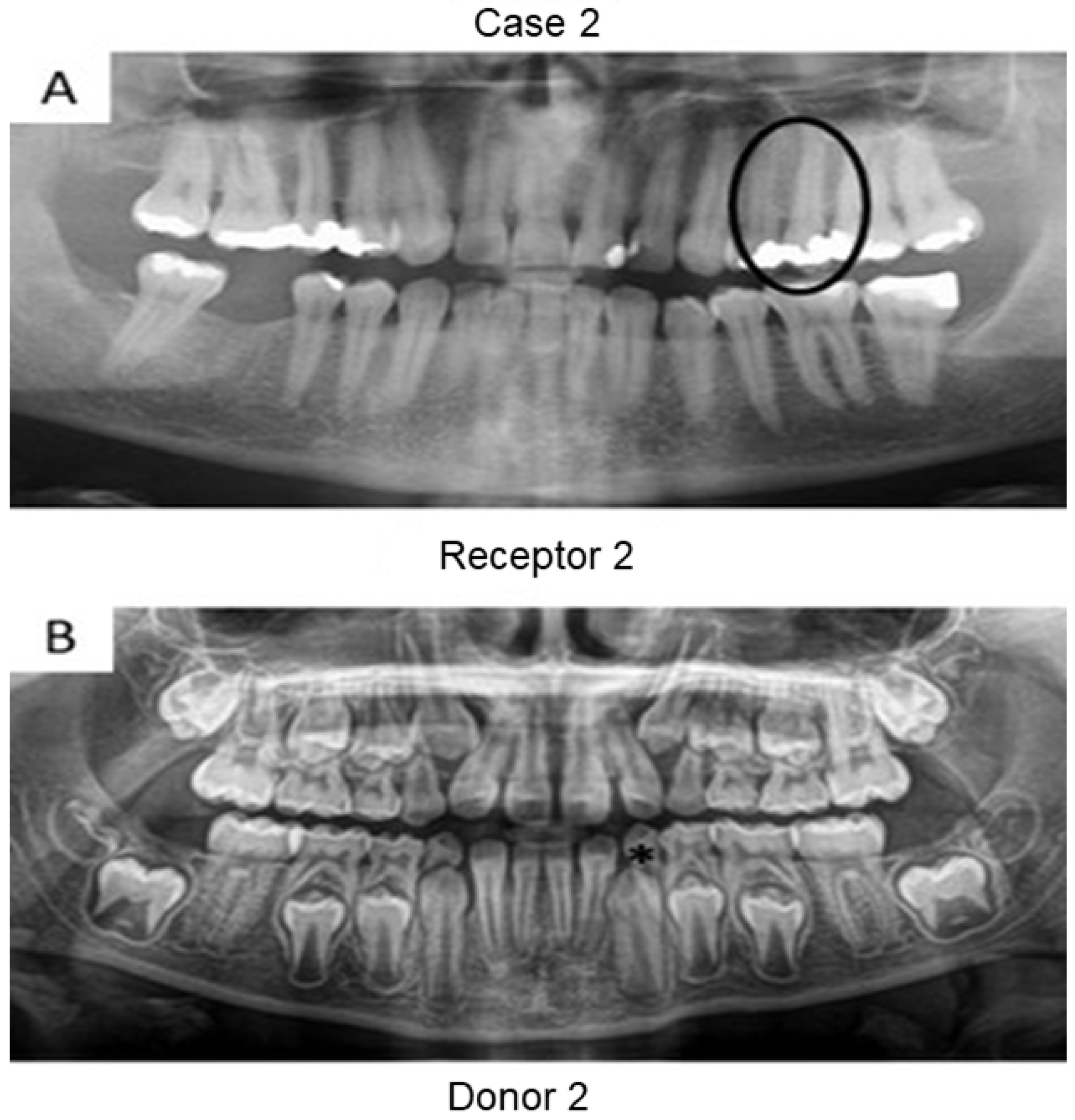 Bioengineering 09 00699 g002