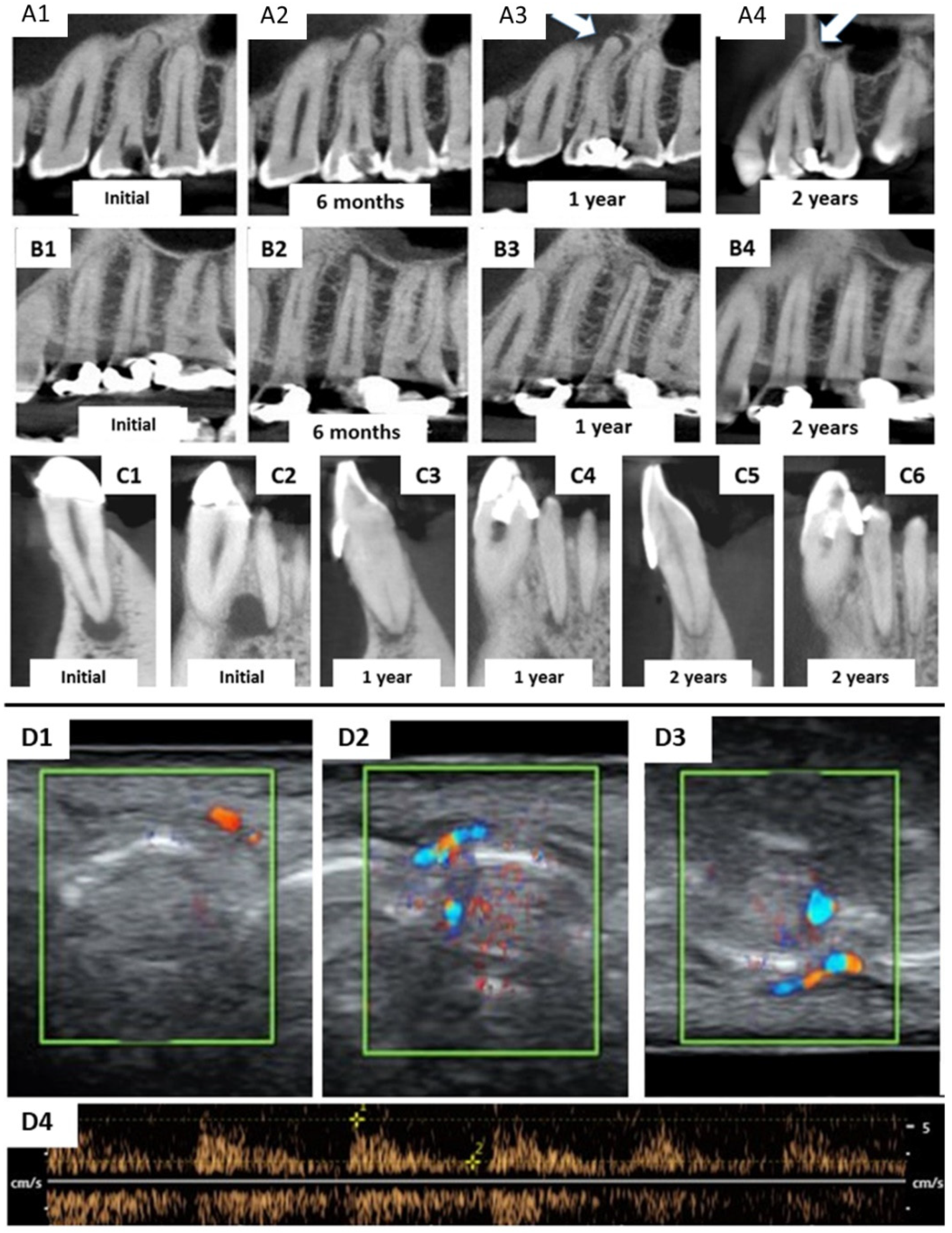 Bioengineering 09 00699 g004