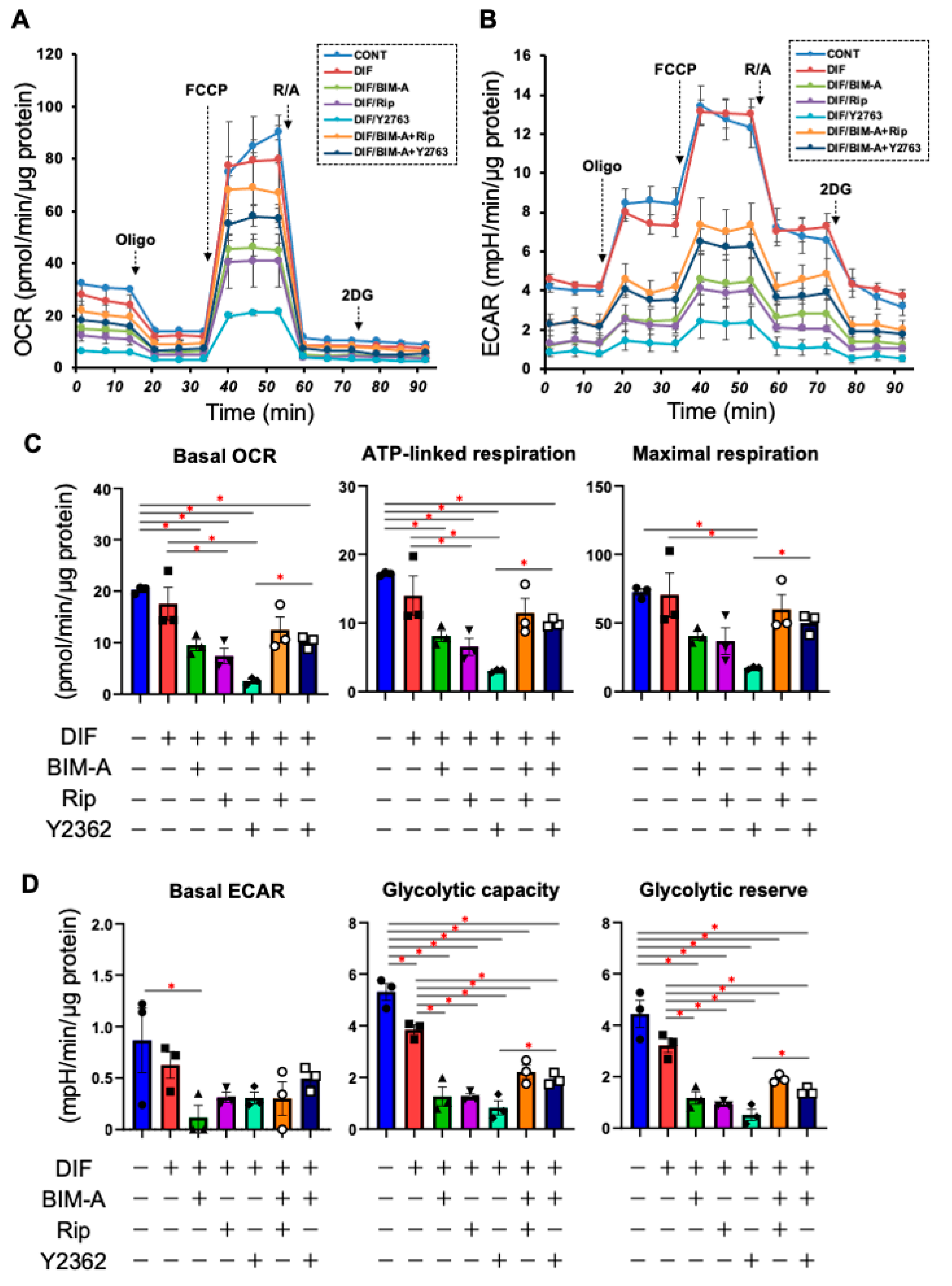 Bioengineering 09 00702 g004 Bioengineering 09 00702 g004