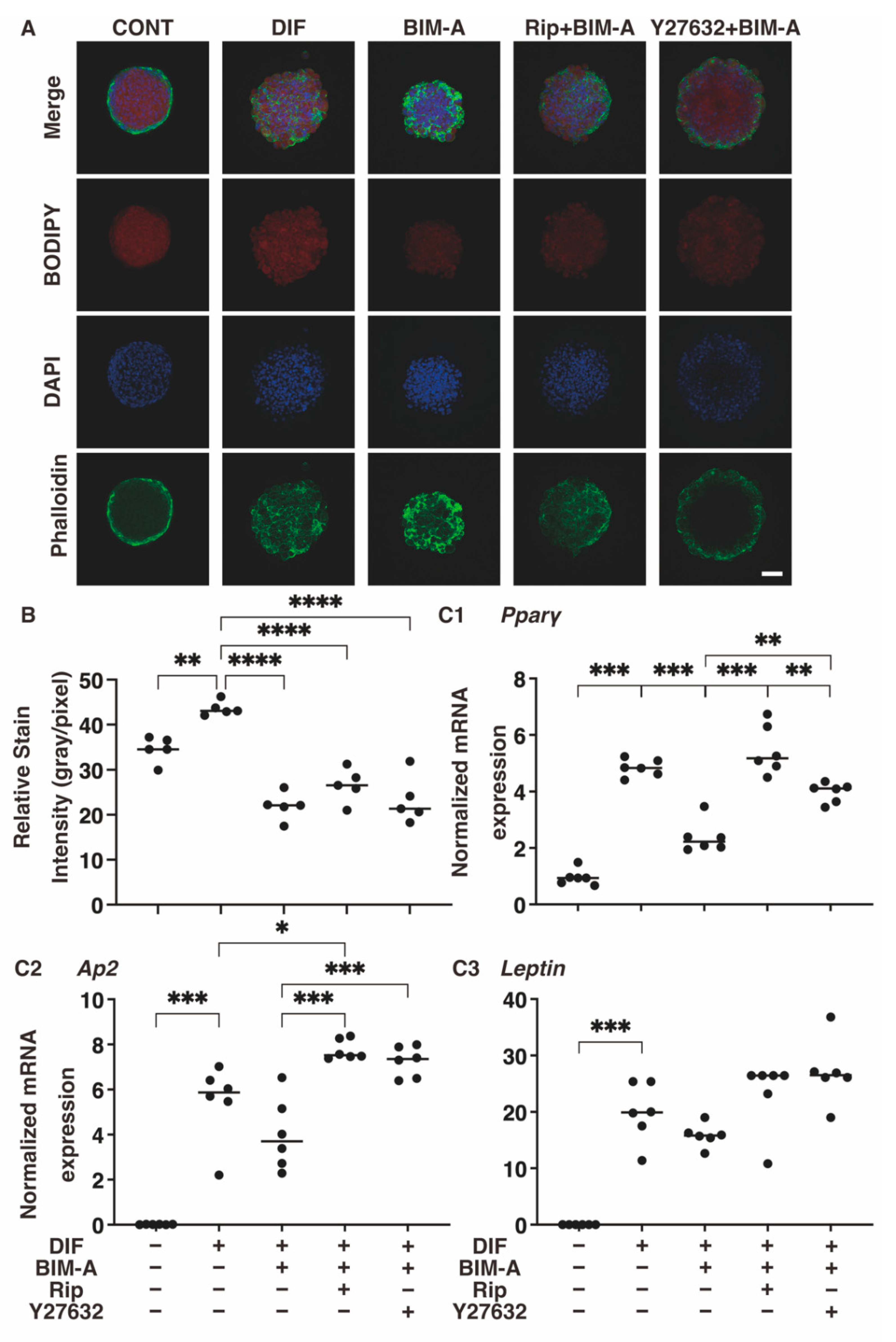 Bioengineering 09 00702 g007 Bioengineering 09 00702 g007