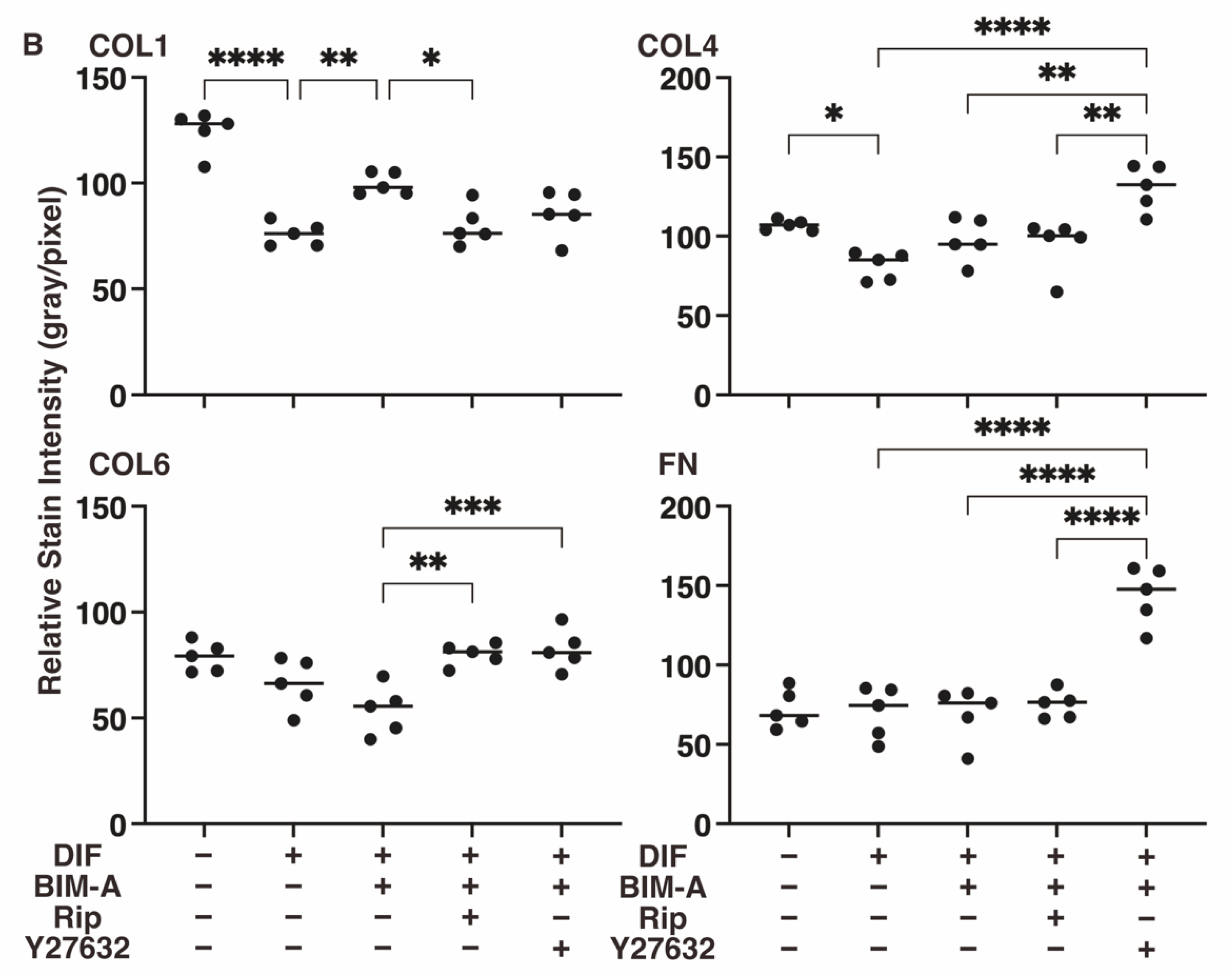 Bioengineering 09 00702 g009b Bioengineering 09 00702 g009b