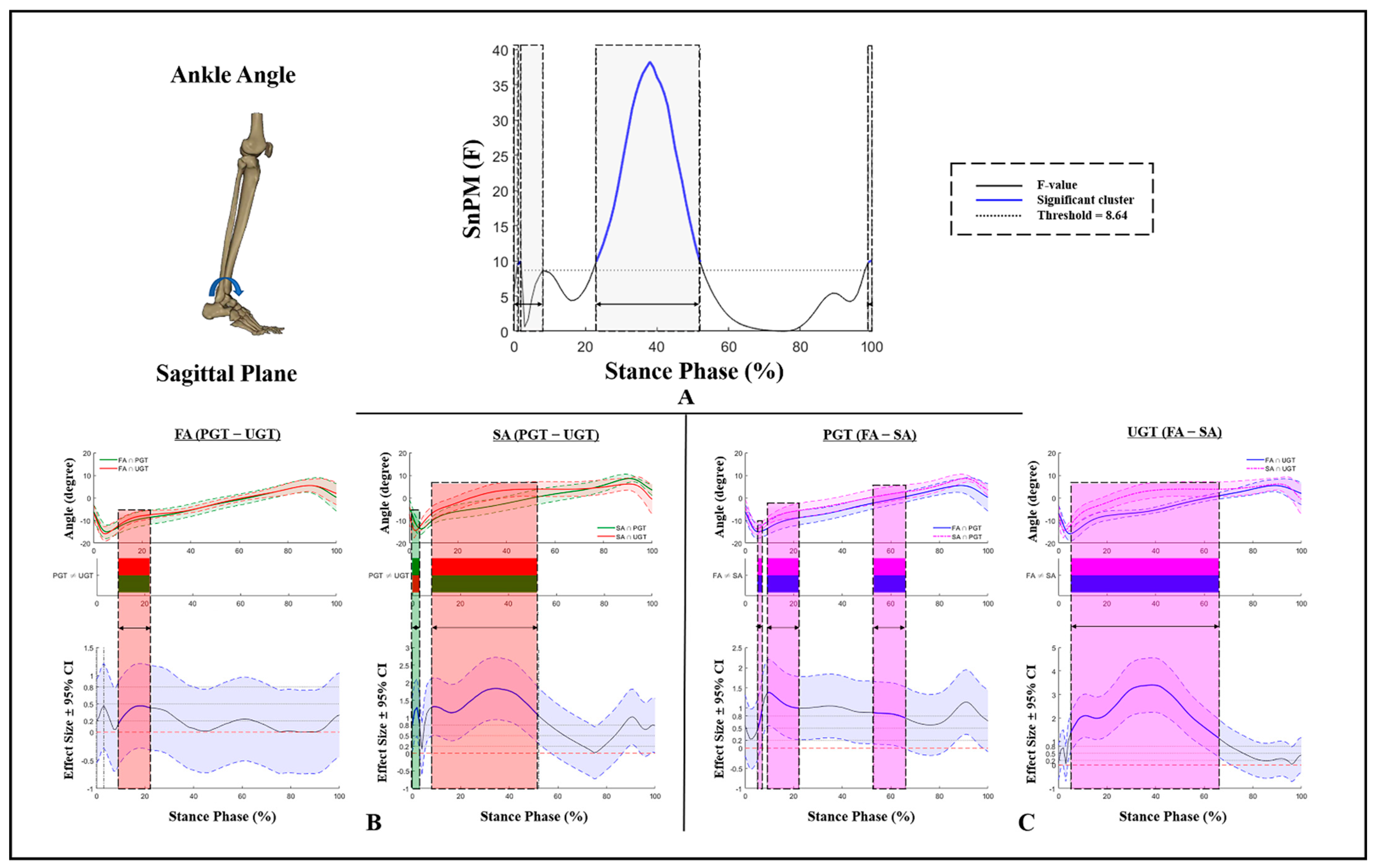 Bioengineering 09 00703 g001